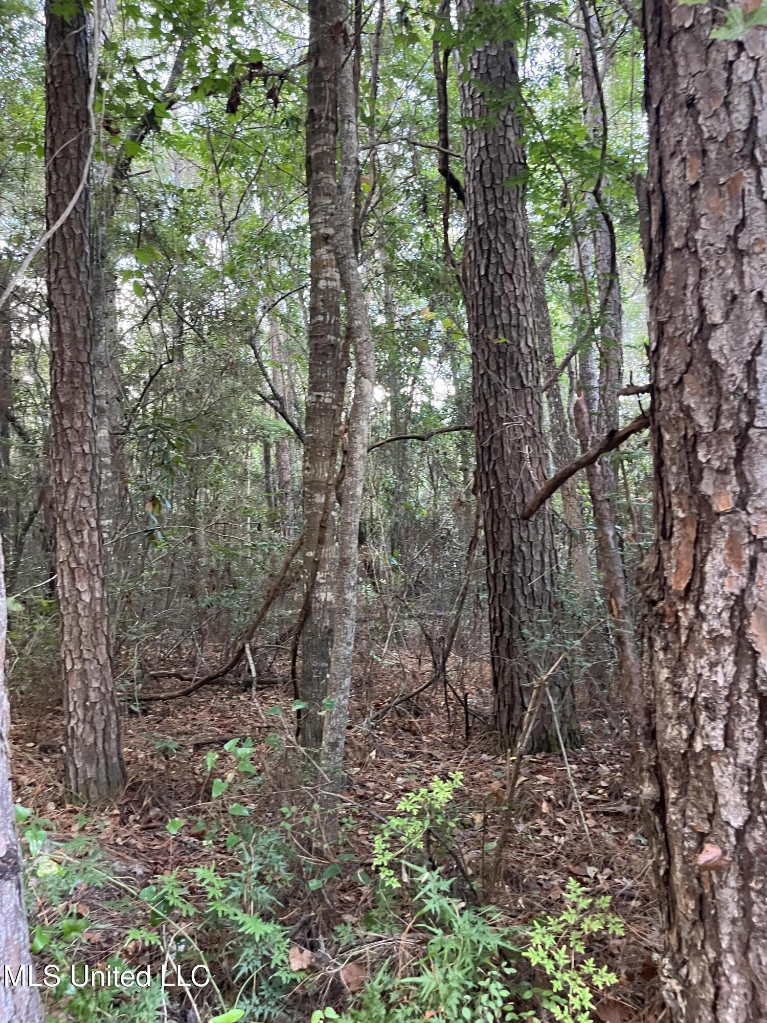 Lots 27-28 Stockton Circle Property Photo 3