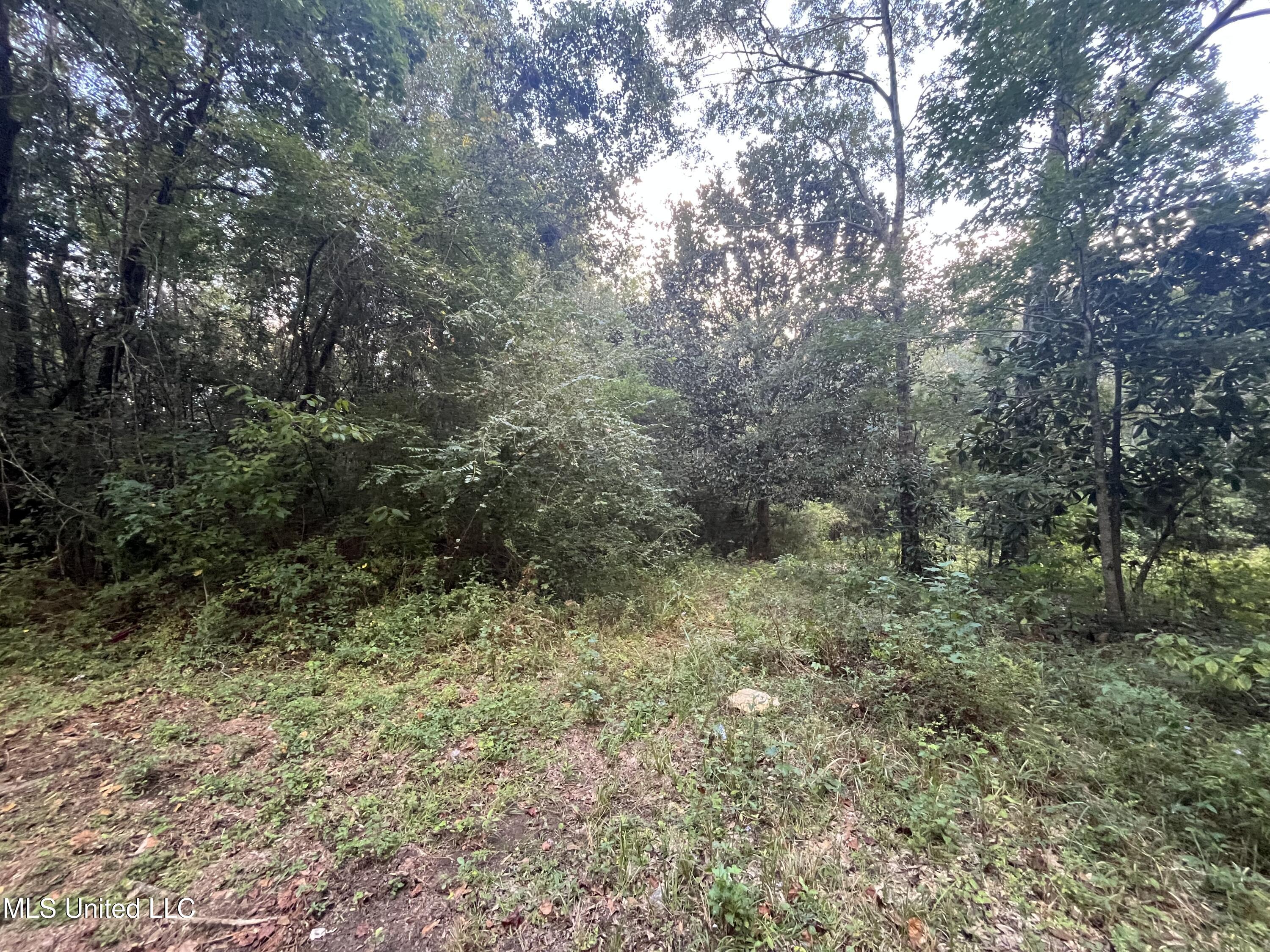 Lots 27-28 Stockton Circle Property Photo 4