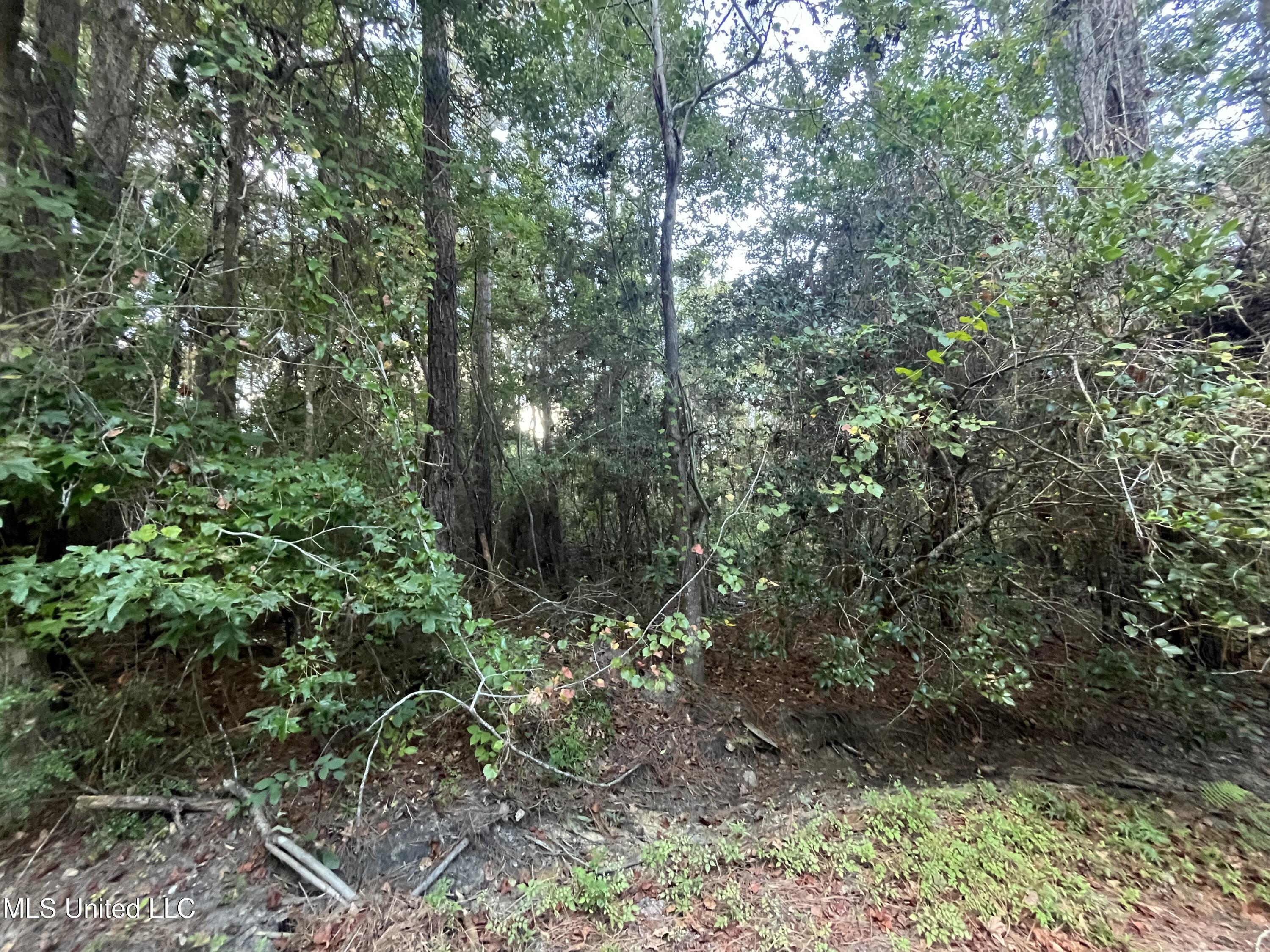 Lots 27-28 Stockton Circle Property Photo 5