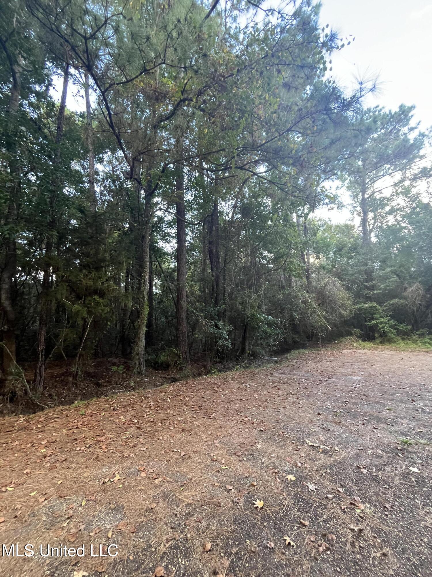 Lots 27-28 Stockton Circle Property Photo 9