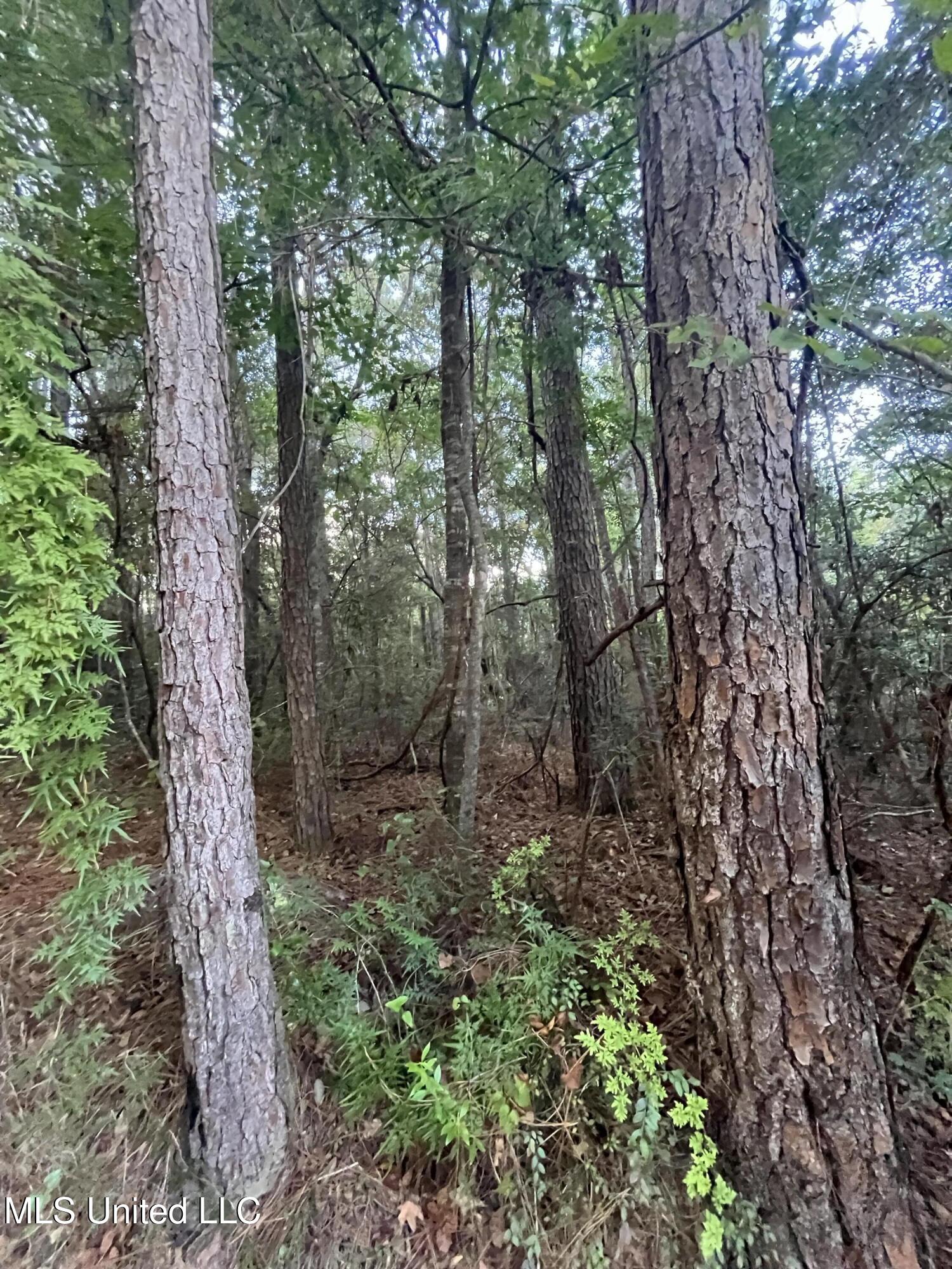 Lots 27-28 Stockton Circle Property Photo 12