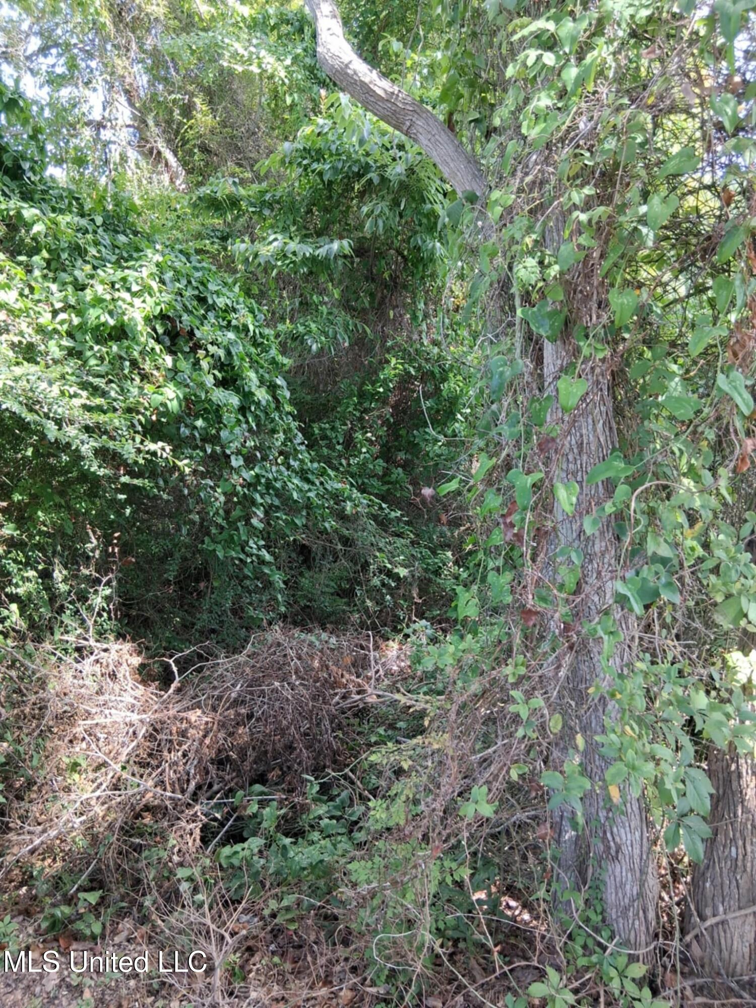 7th Street Property Photo 2