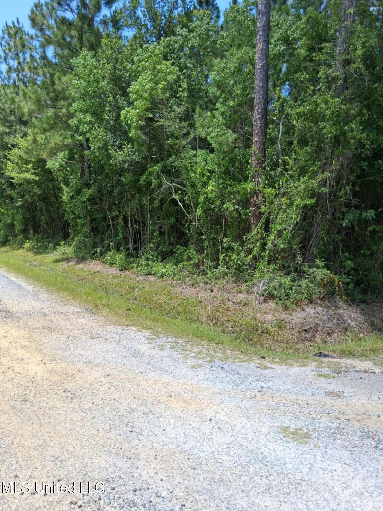 7th Street Property Photo 5