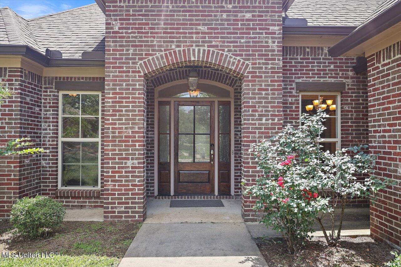 519 Morning Glory Cove Property Photo 3