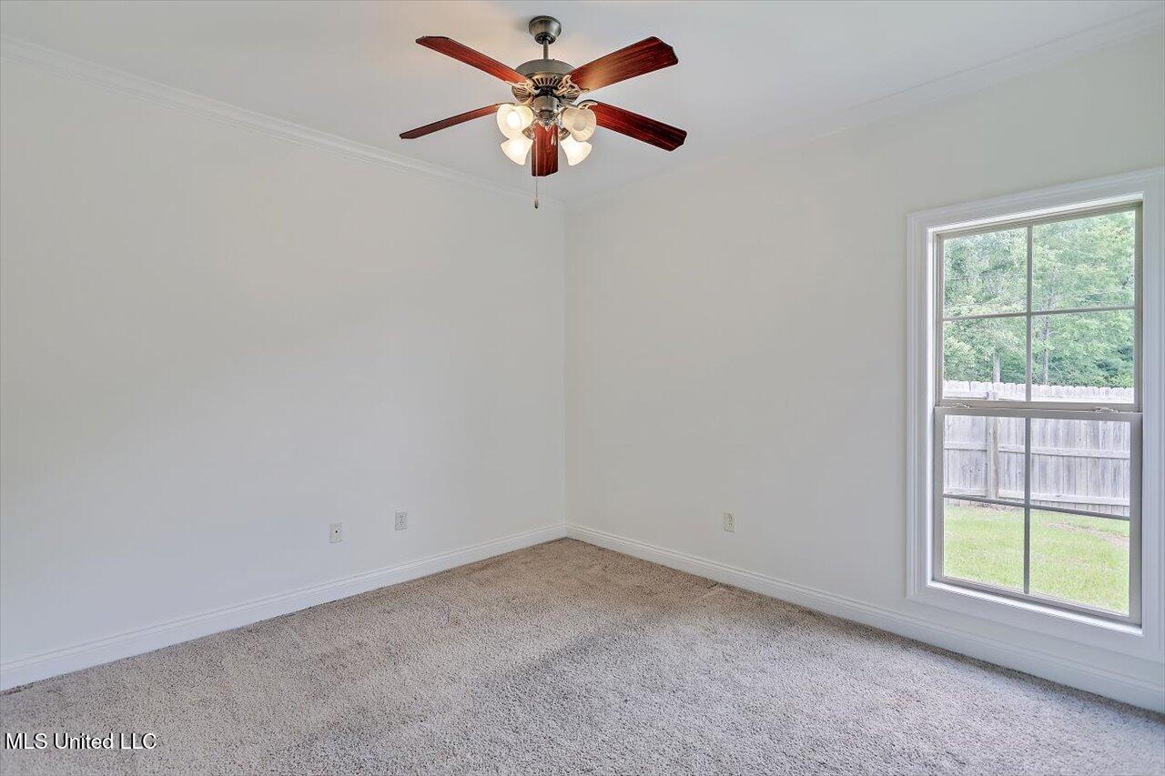 519 Morning Glory Cove Property Photo 23