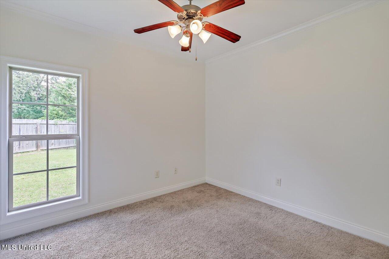 519 Morning Glory Cove Property Photo 24