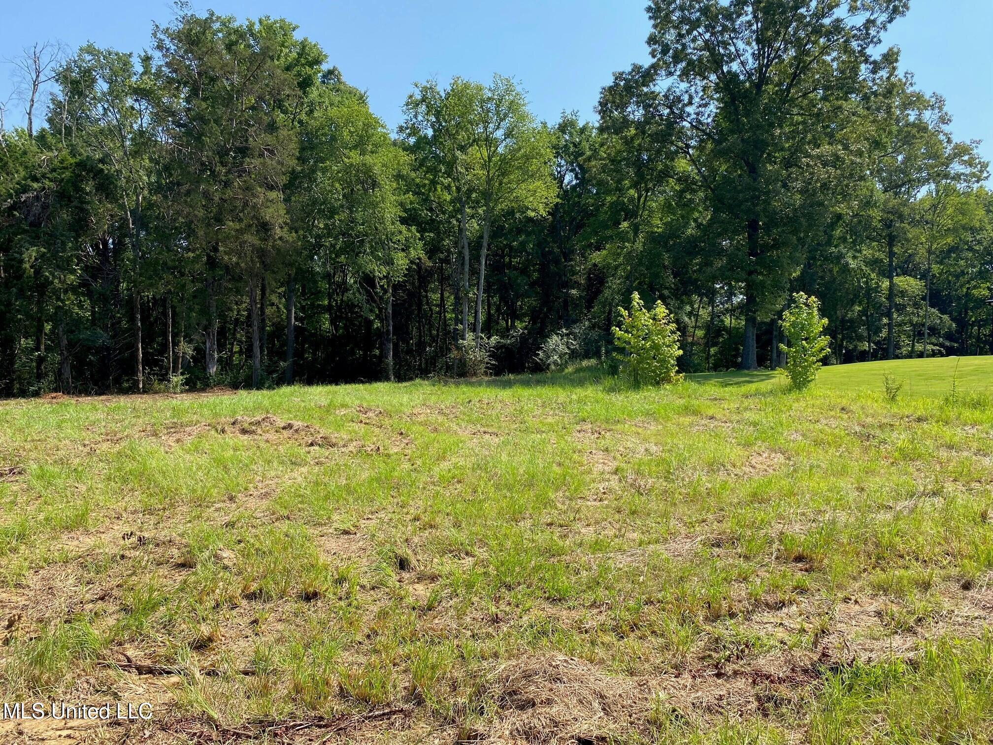 Mt Pleasant Road Property Photo 1