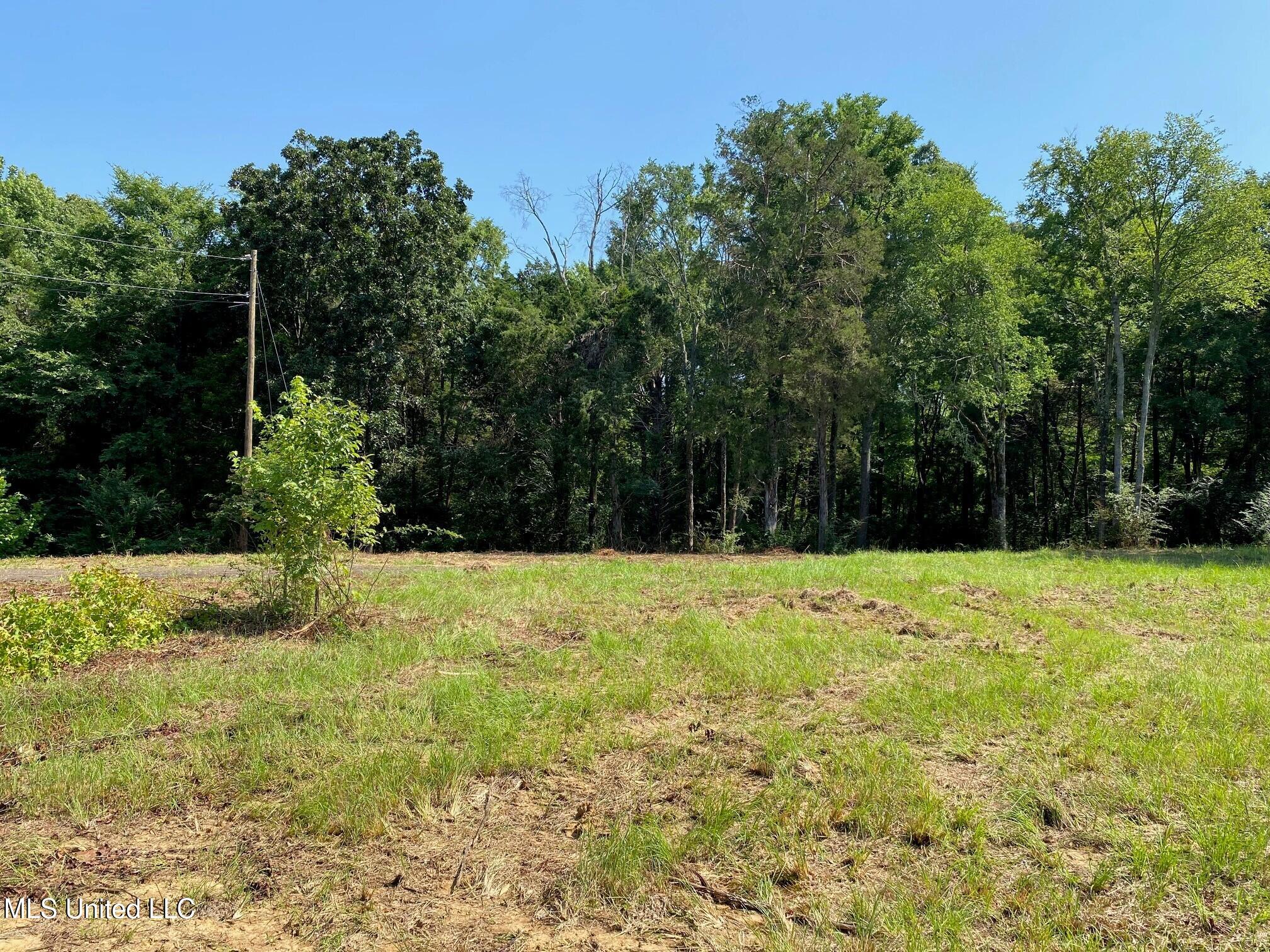 Mt Pleasant Road Property Photo 3