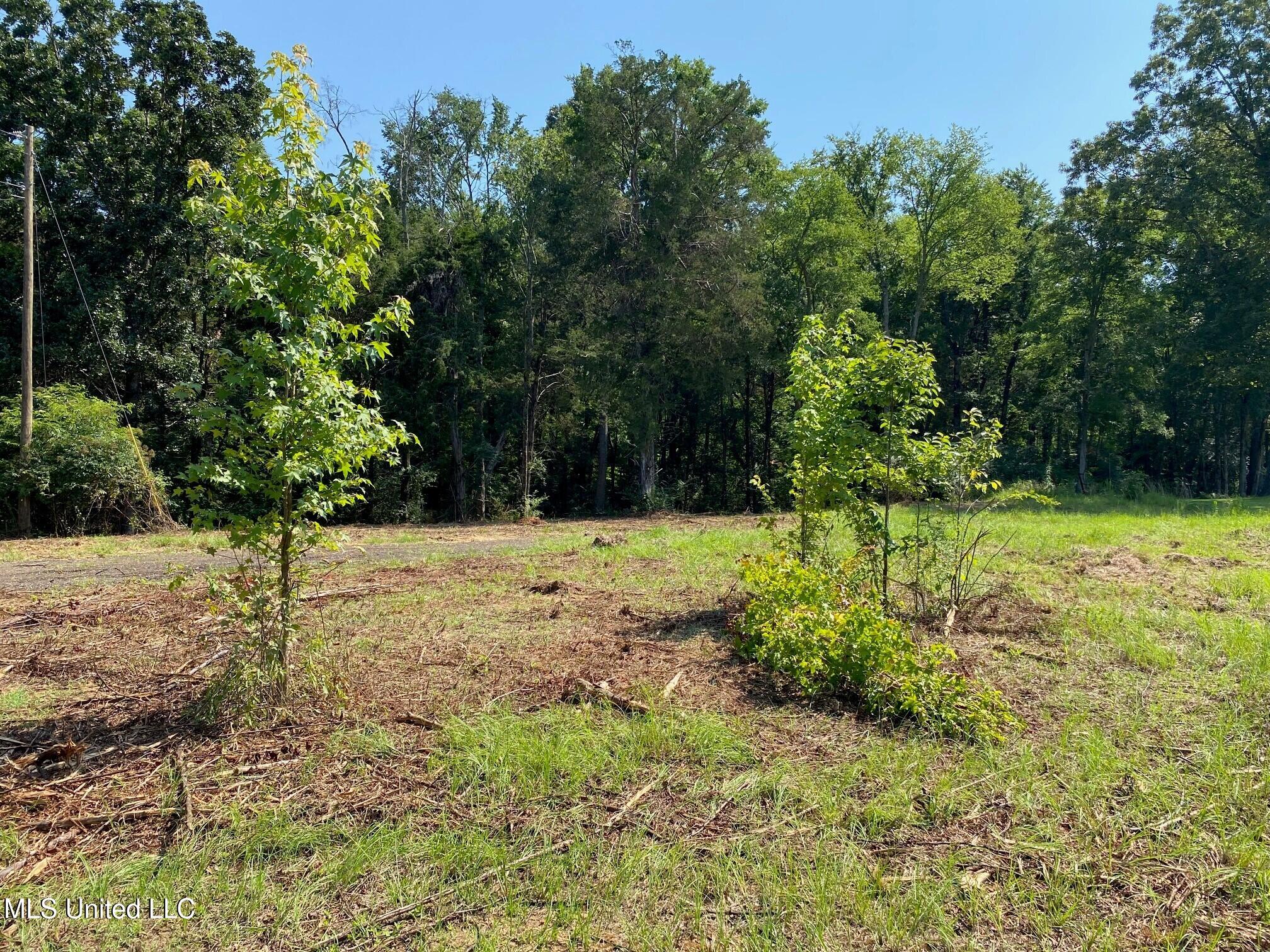 Mt Pleasant Road Property Photo 4
