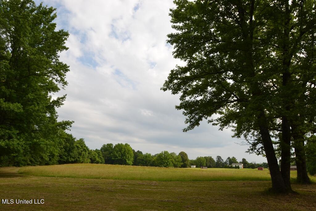 10719 Highway 178 Property Photo 2