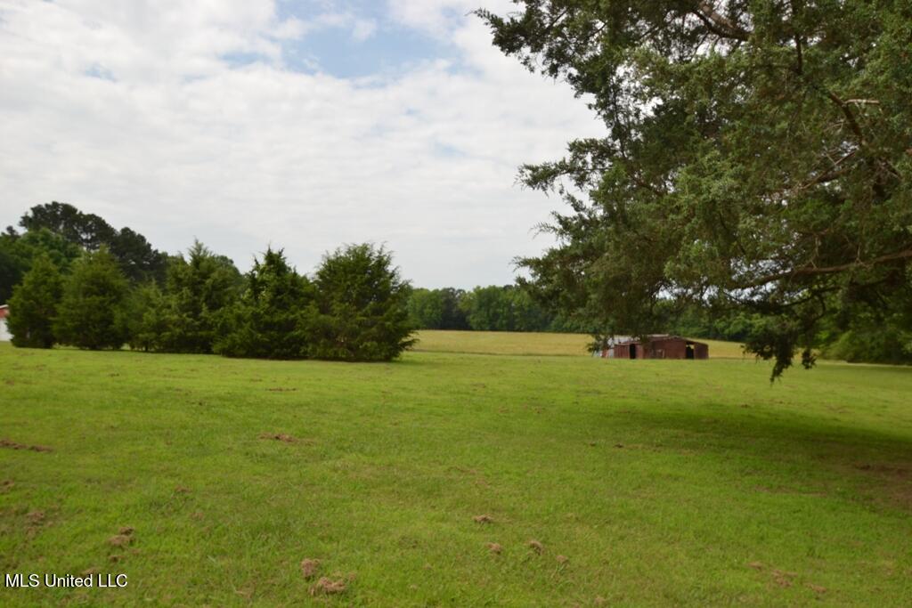 10719 Highway 178 Property Photo 3
