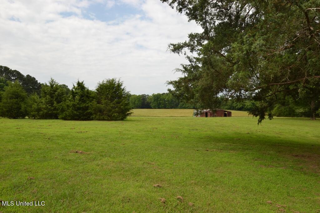10719 Highway 178 Property Photo 5