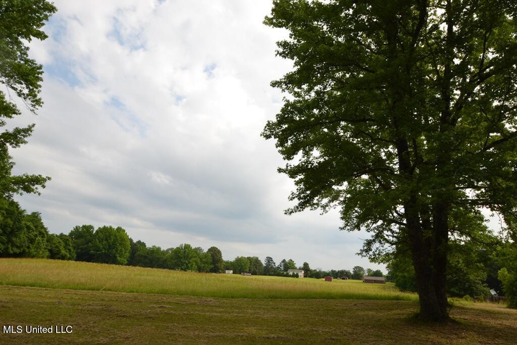 10719 Highway 178 Property Photo 7