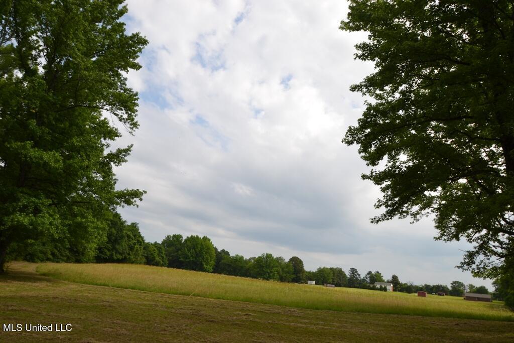 10719 Highway 178 Property Photo 10