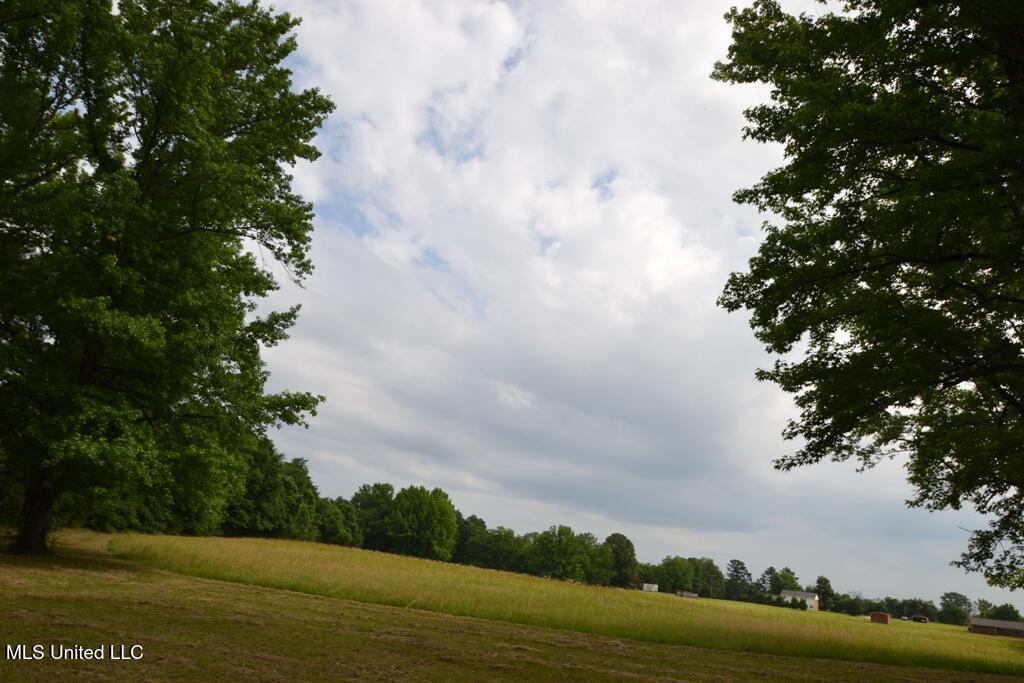 10719 Highway 178 Property Photo 13