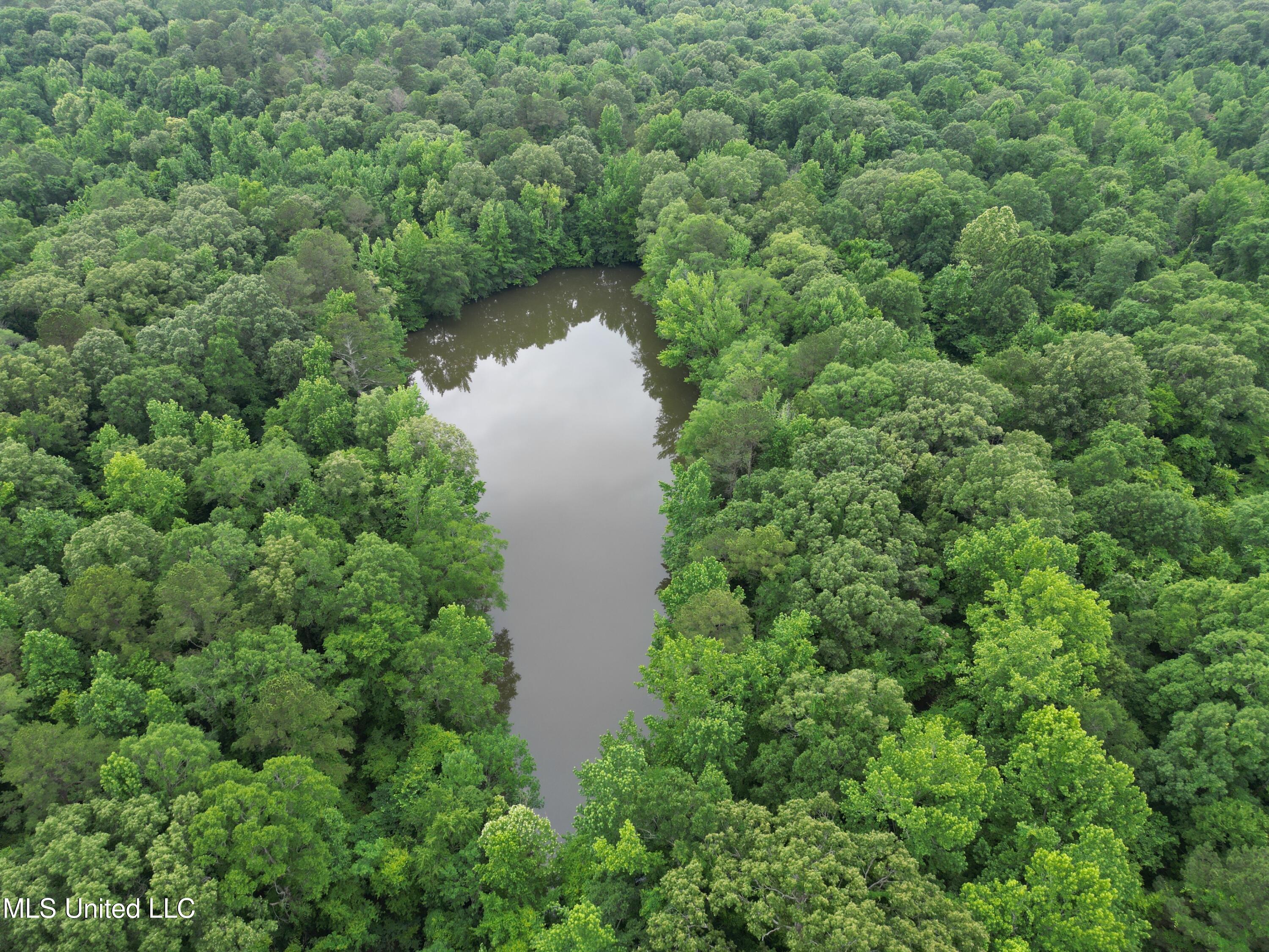 Gessler Rd Property Photo 1