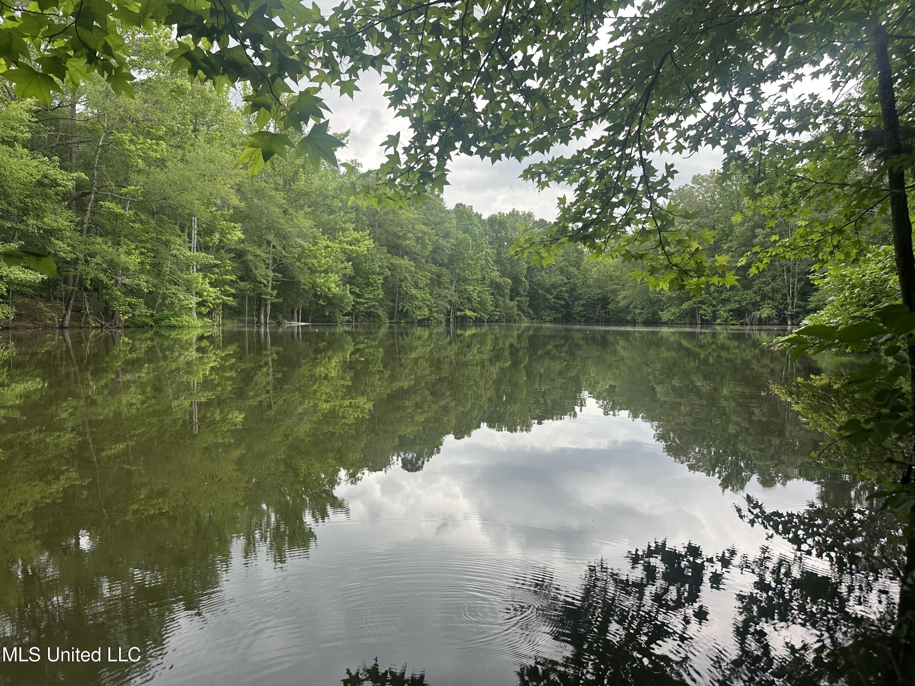 Gessler Rd Property Photo 4