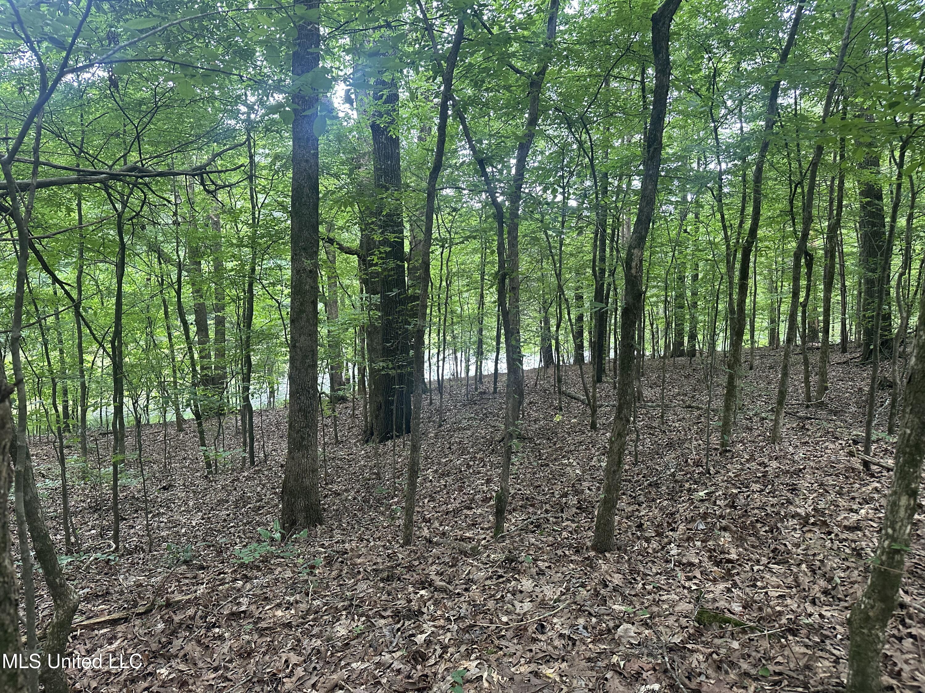 Gessler Rd Property Photo 5