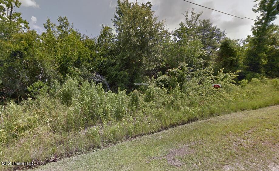 01 Beverly Street Property Photo 3