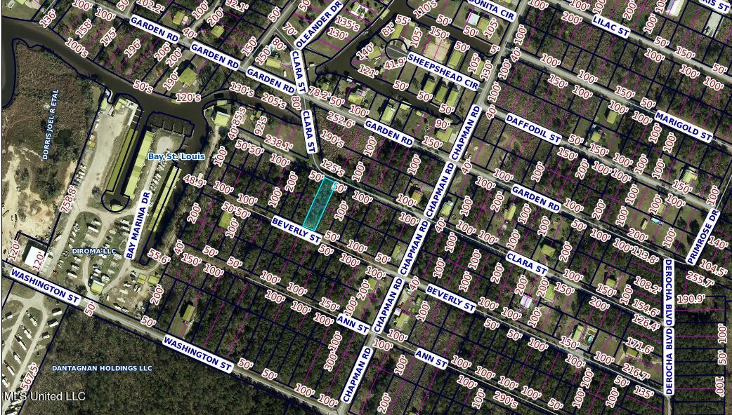 01 Beverly Street Property Photo 4