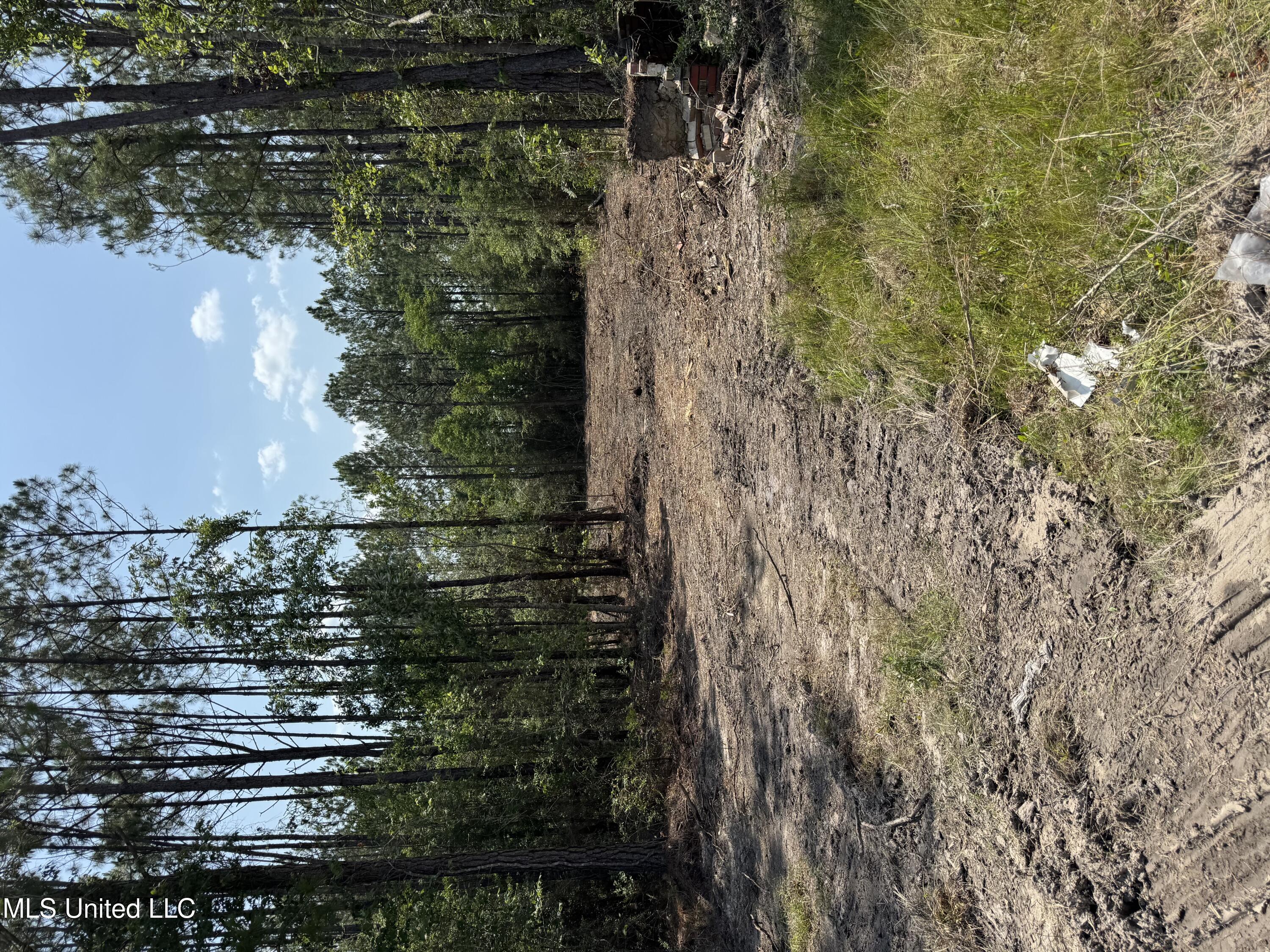 23505 Hwy 603 Property Photo 1