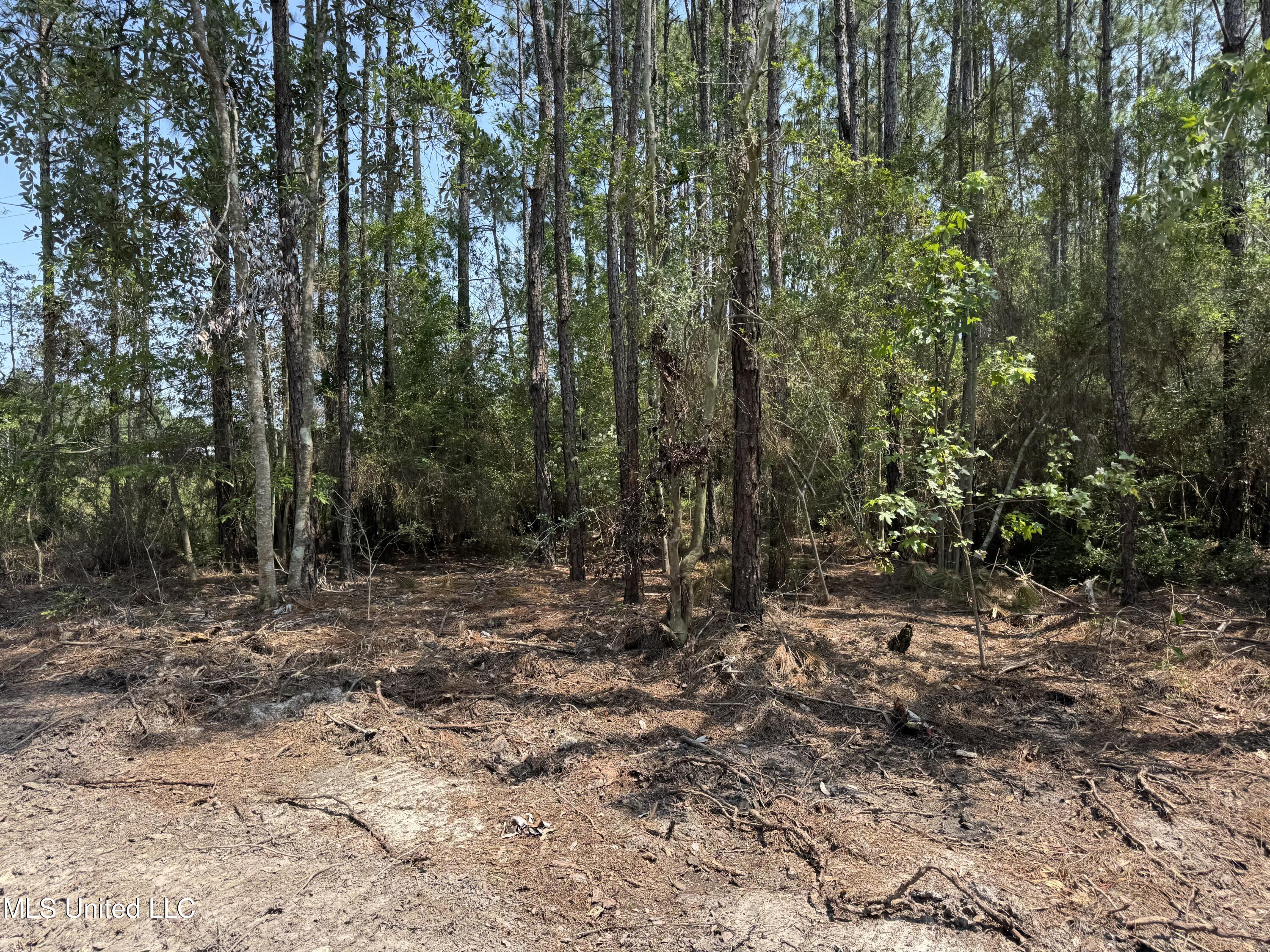 23485 Hwy 603 Property Photo 3