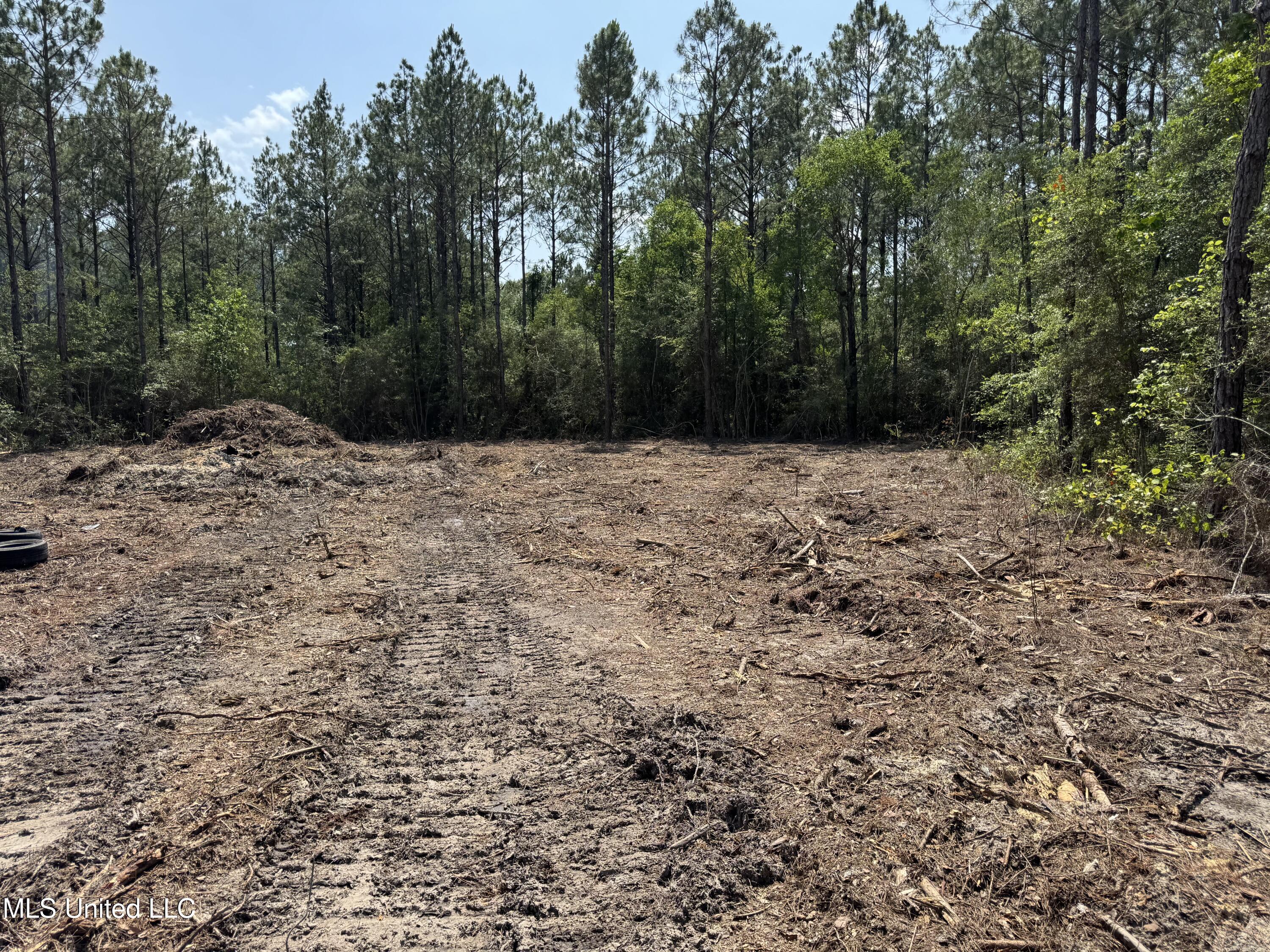 23465 Hwy 603 Property Photo 2