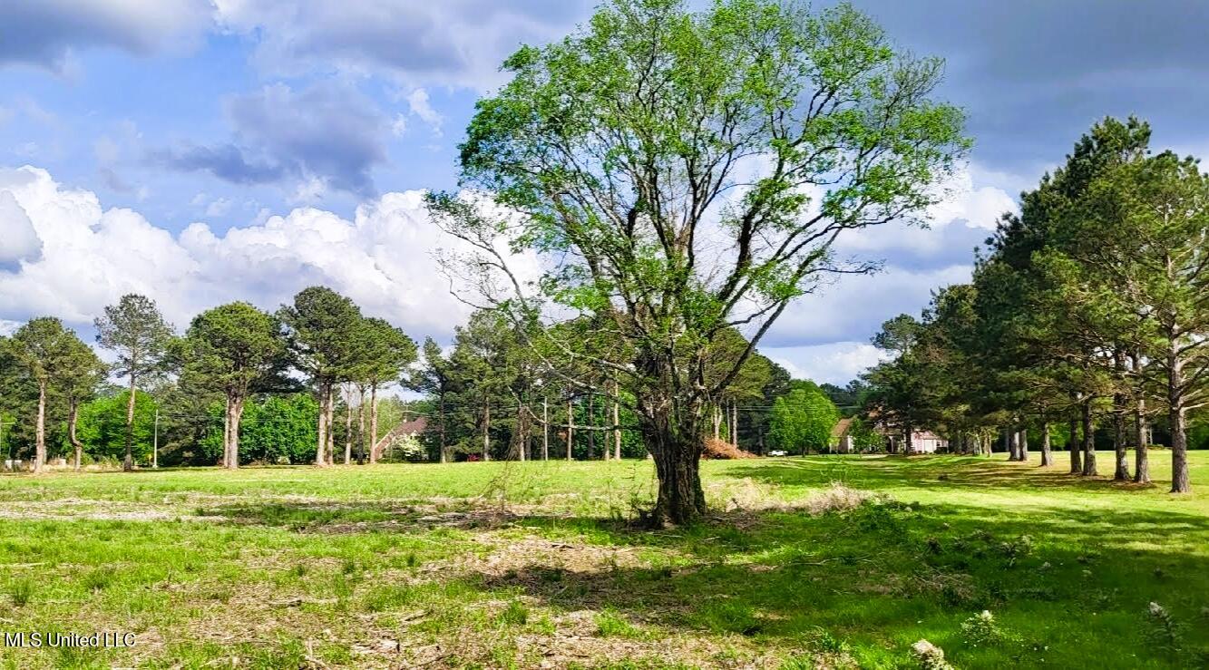 Bozeman Road Property Photo 2