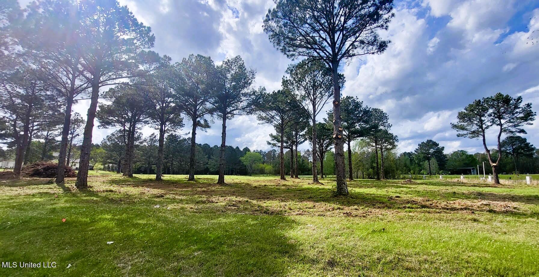 Bozeman Road Property Photo 3