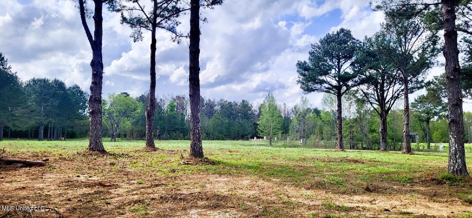 Bozeman Road Property Photo 4