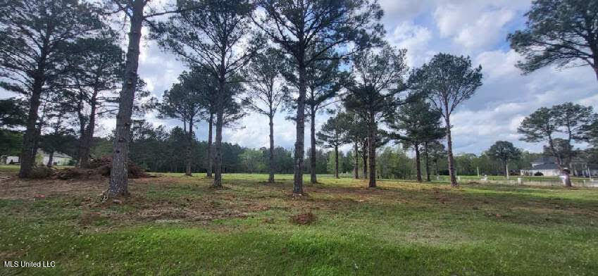 Bozeman Road Property Photo 5