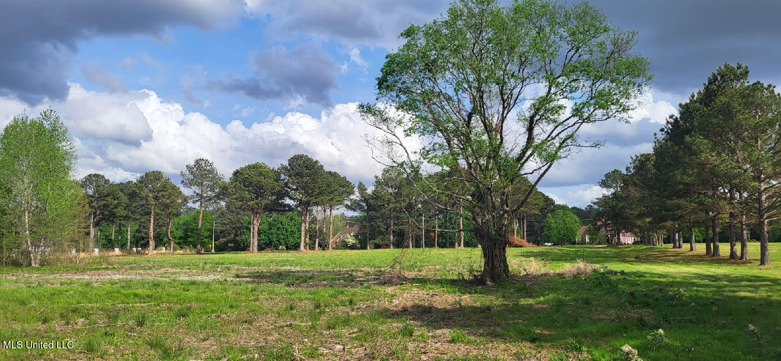 Bozeman Road Property Photo 6