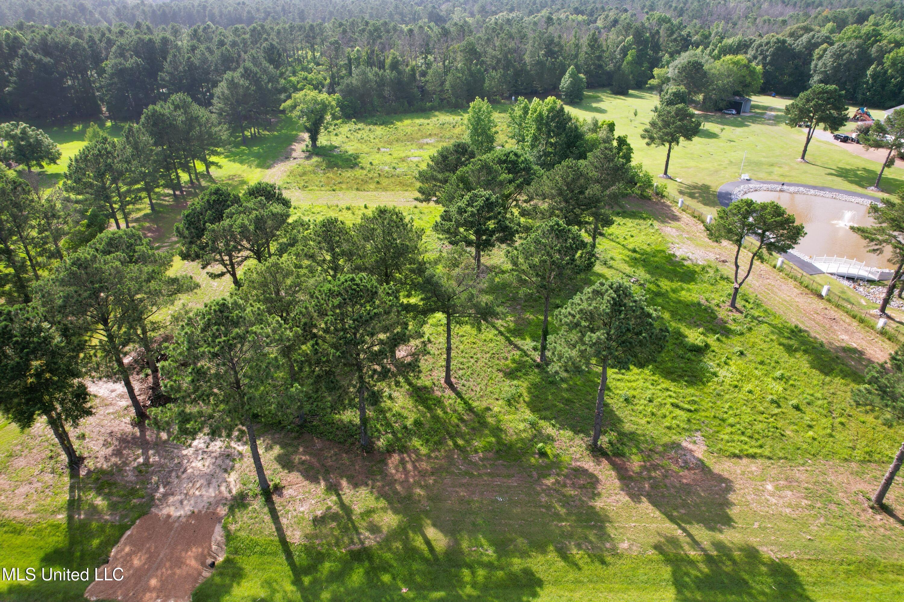 Bozeman Road Property Photo 7