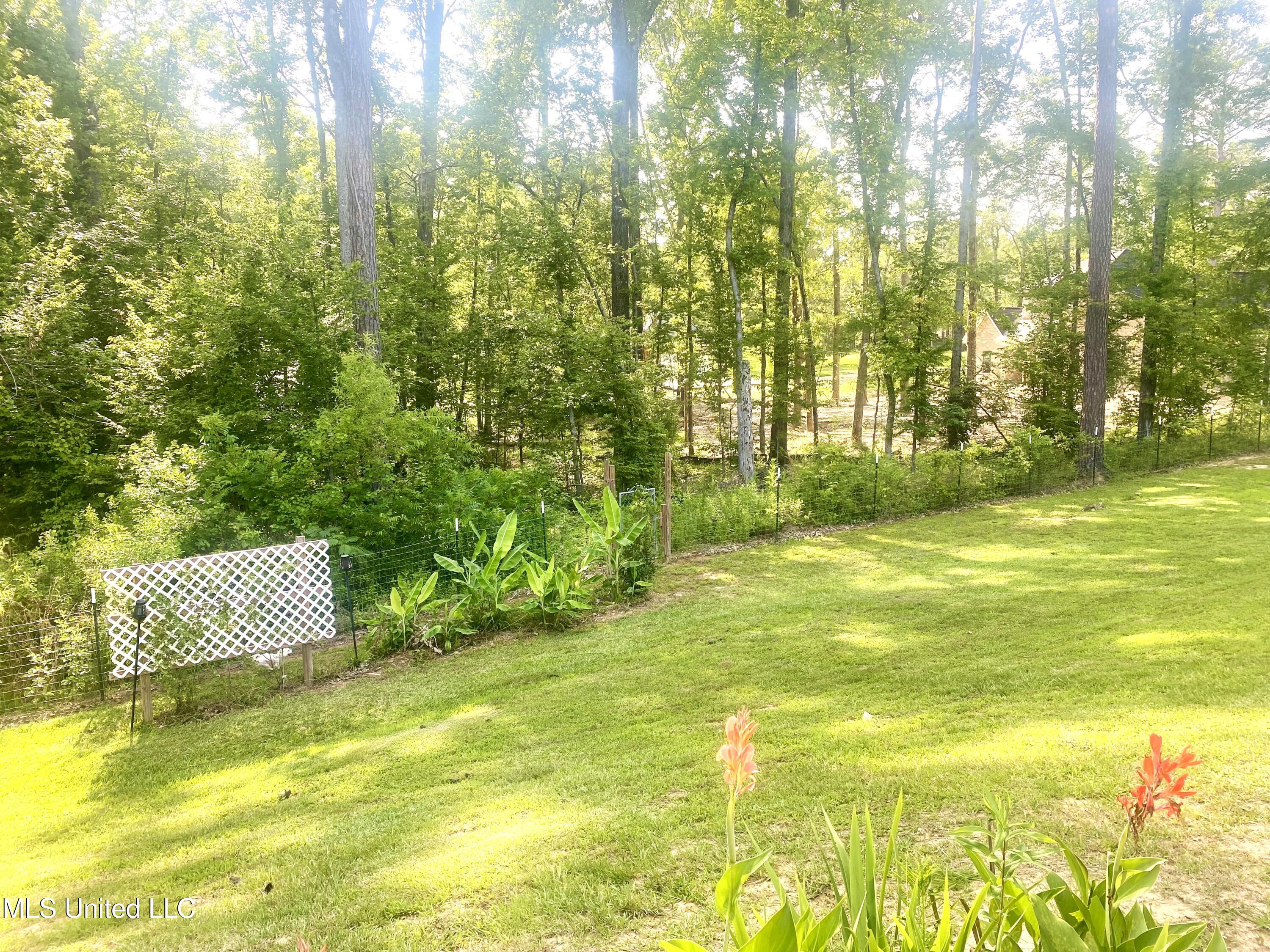 115 Pinedale Road Property Photo 44