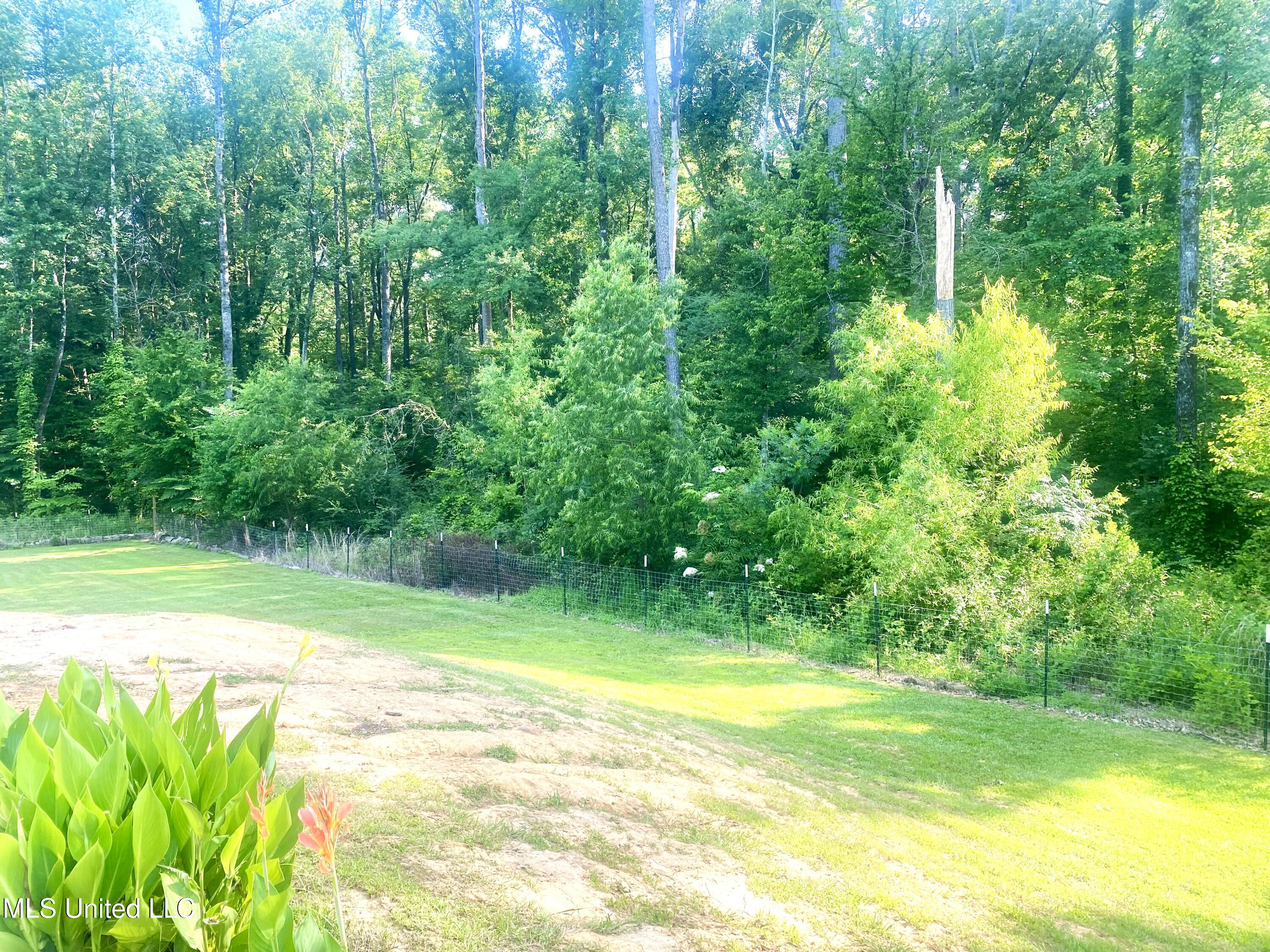 115 Pinedale Road Property Photo 45