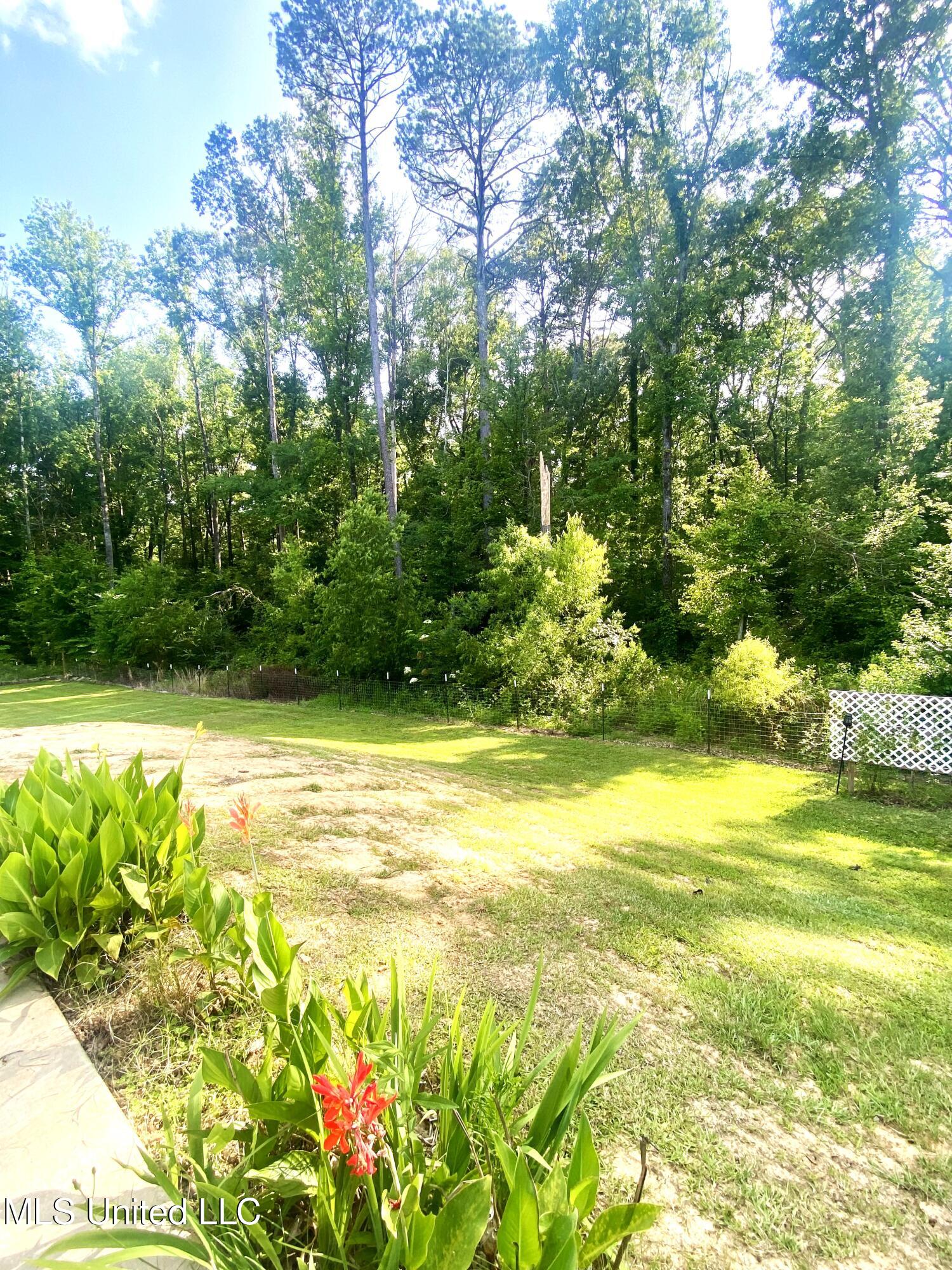 115 Pinedale Road Property Photo 46