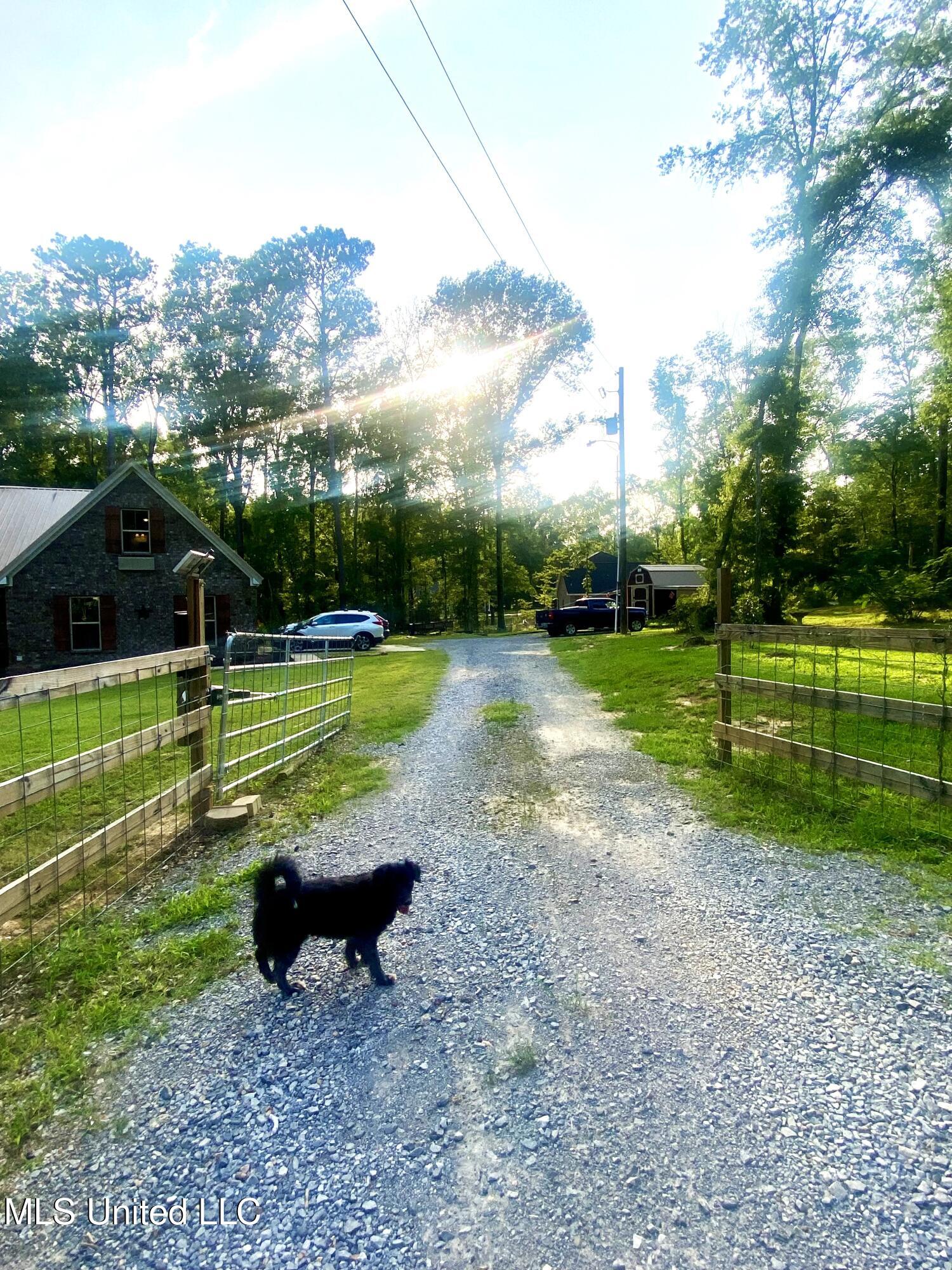 115 Pinedale Road Property Photo 48