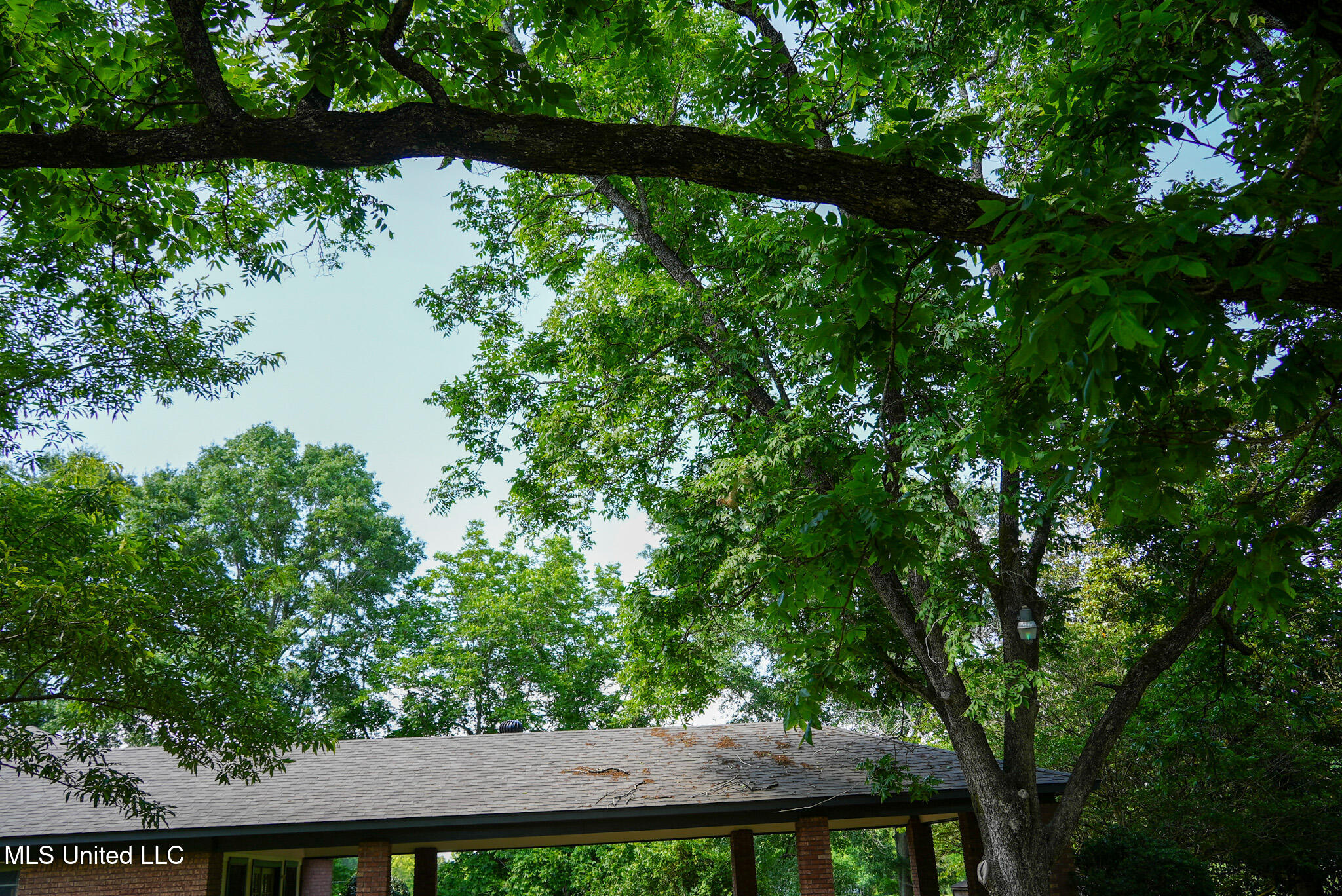 3084 Tom Collins Road Property Photo 4