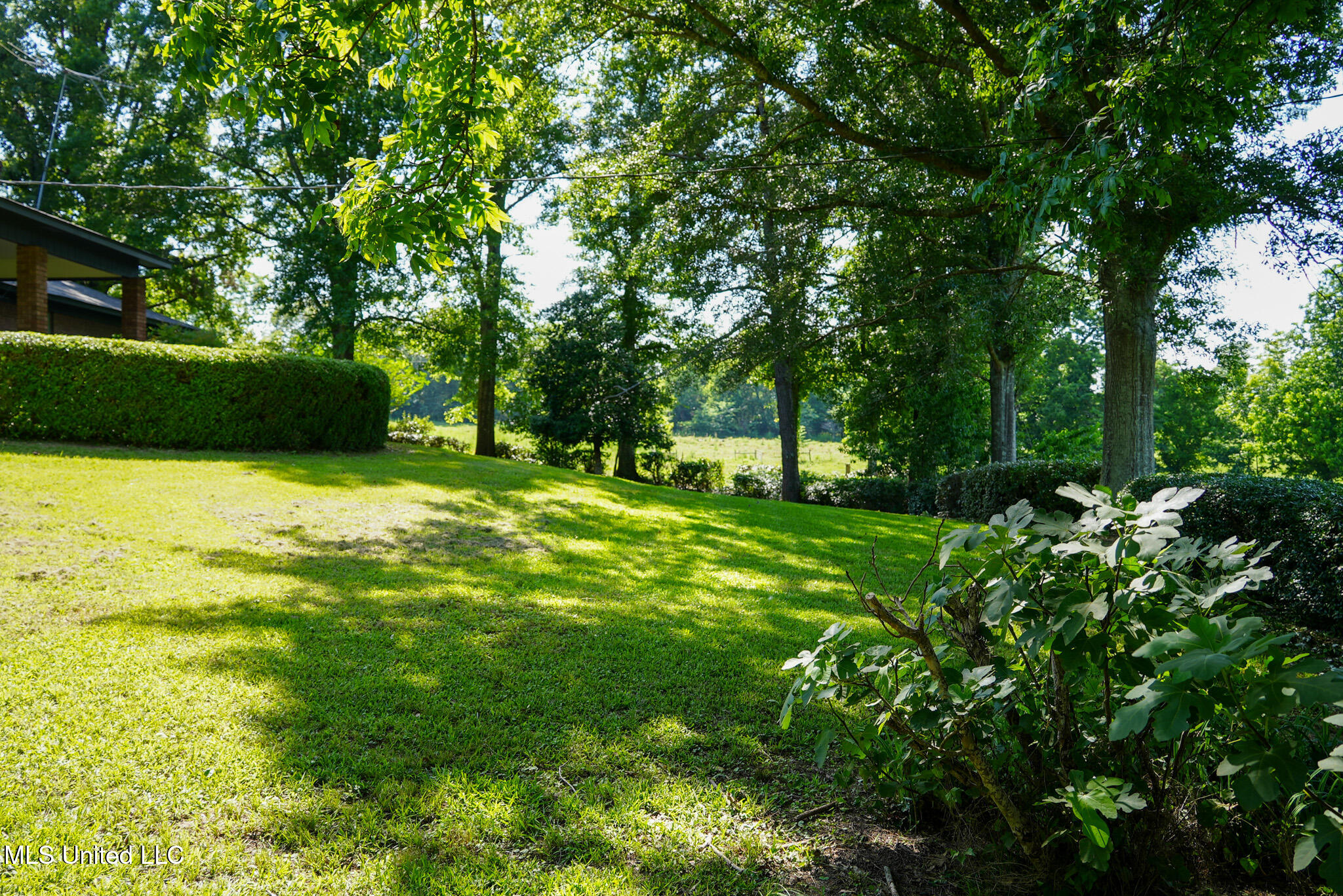 3084 Tom Collins Road Property Photo 13