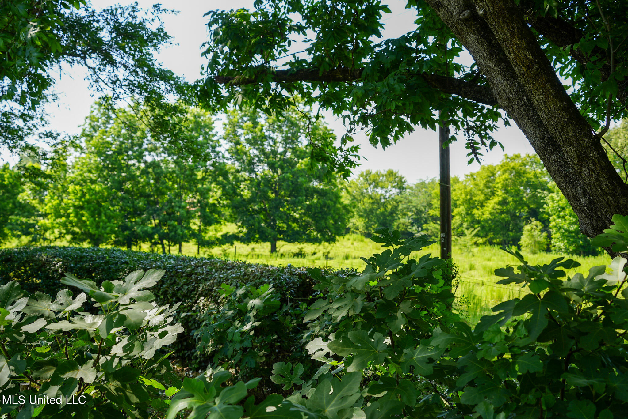 3084 Tom Collins Road Property Photo 14