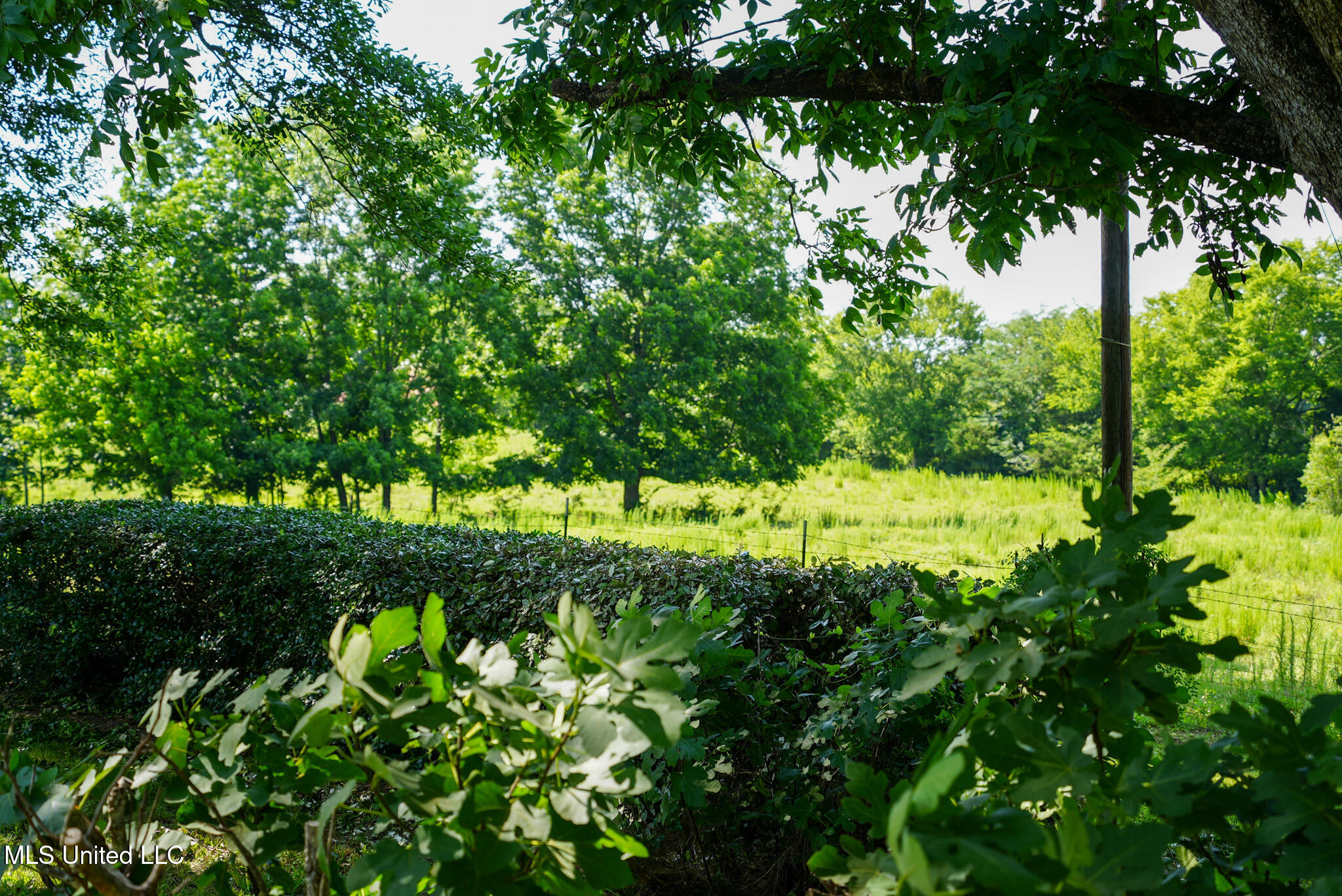 3084 Tom Collins Road Property Photo 15