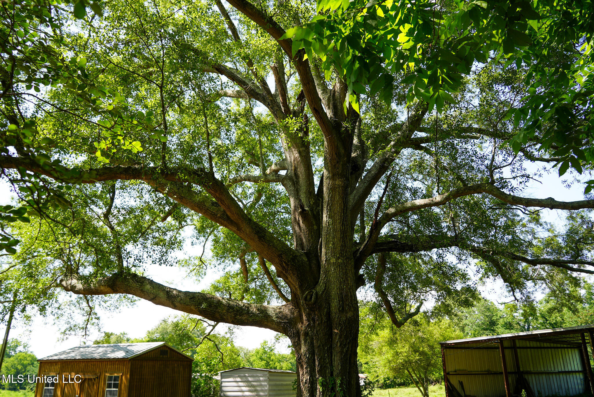 3084 Tom Collins Road Property Photo 27