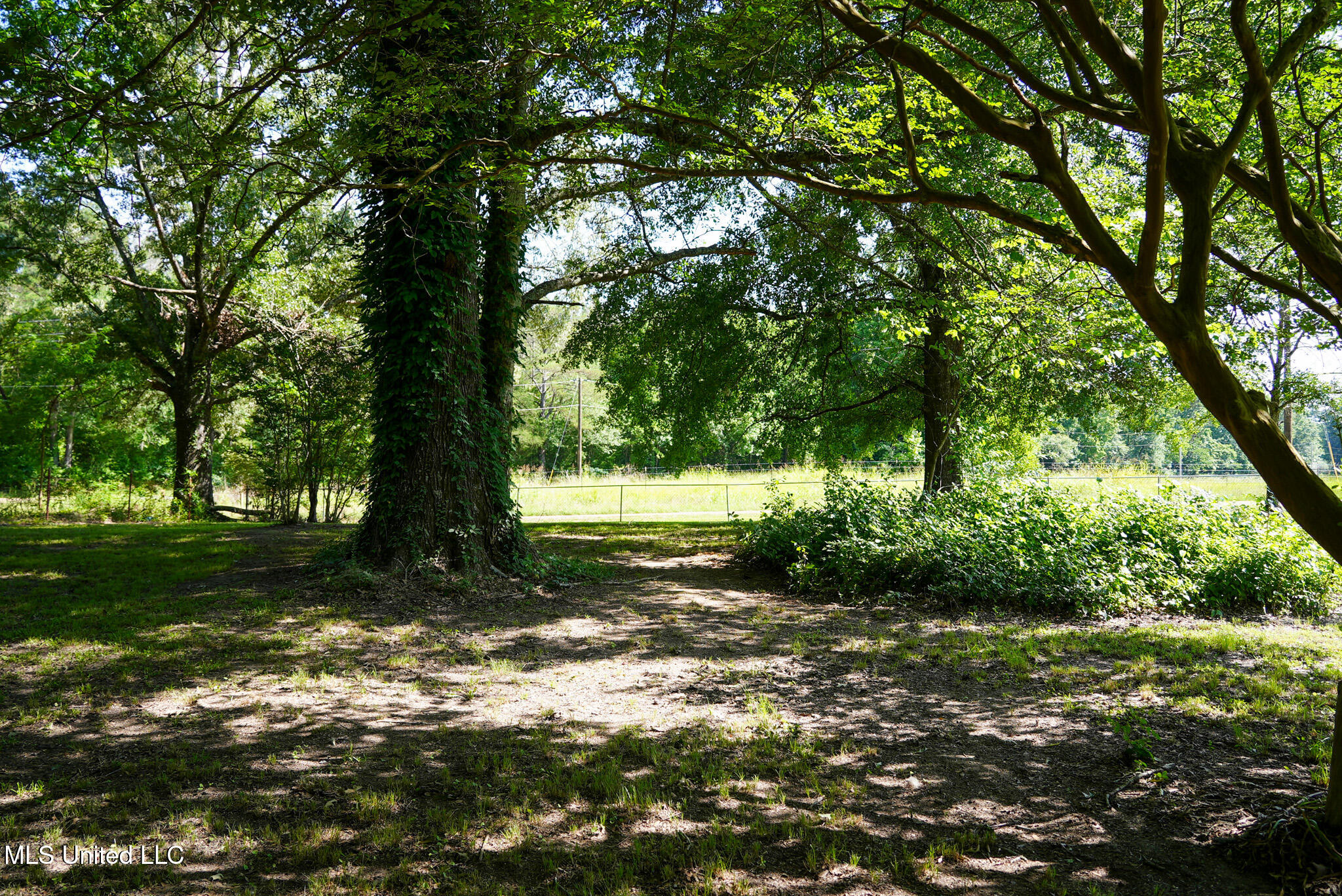 3084 Tom Collins Road Property Photo 28