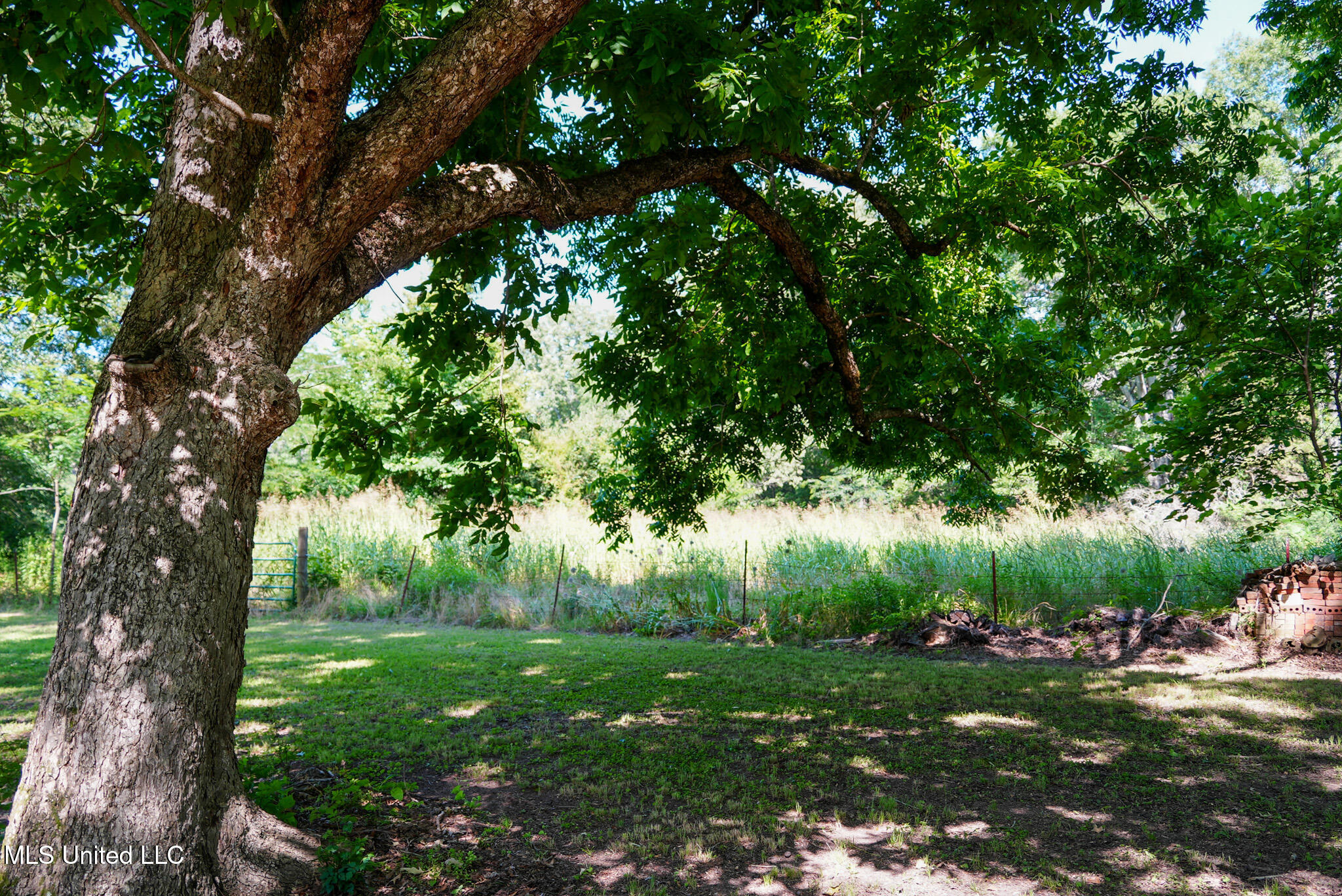 3084 Tom Collins Road Property Photo 29