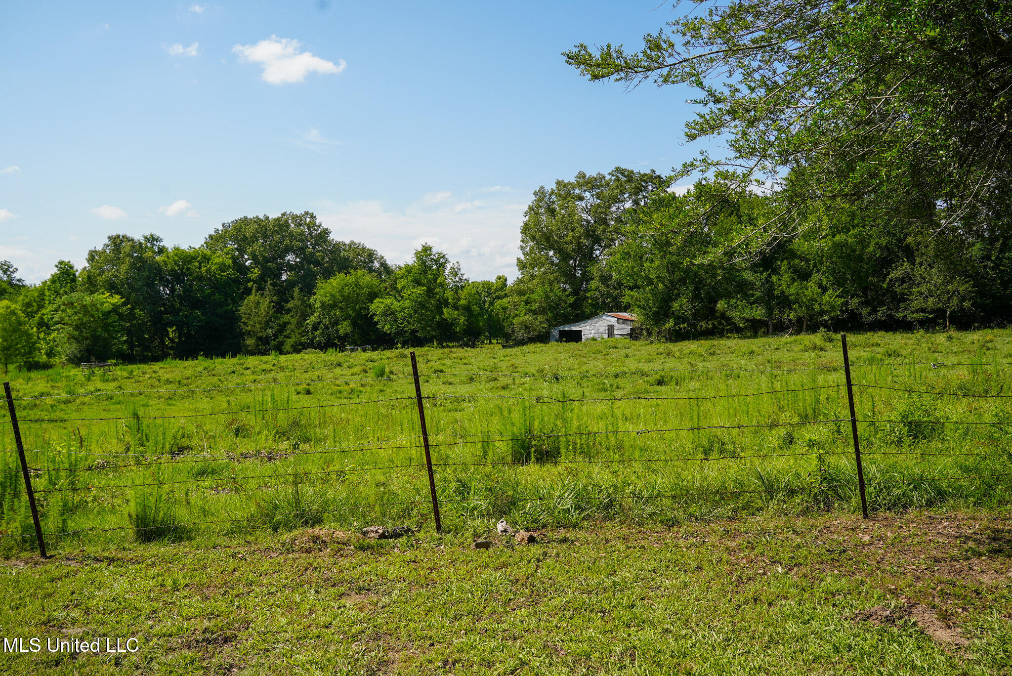 3084 Tom Collins Road Property Photo 31