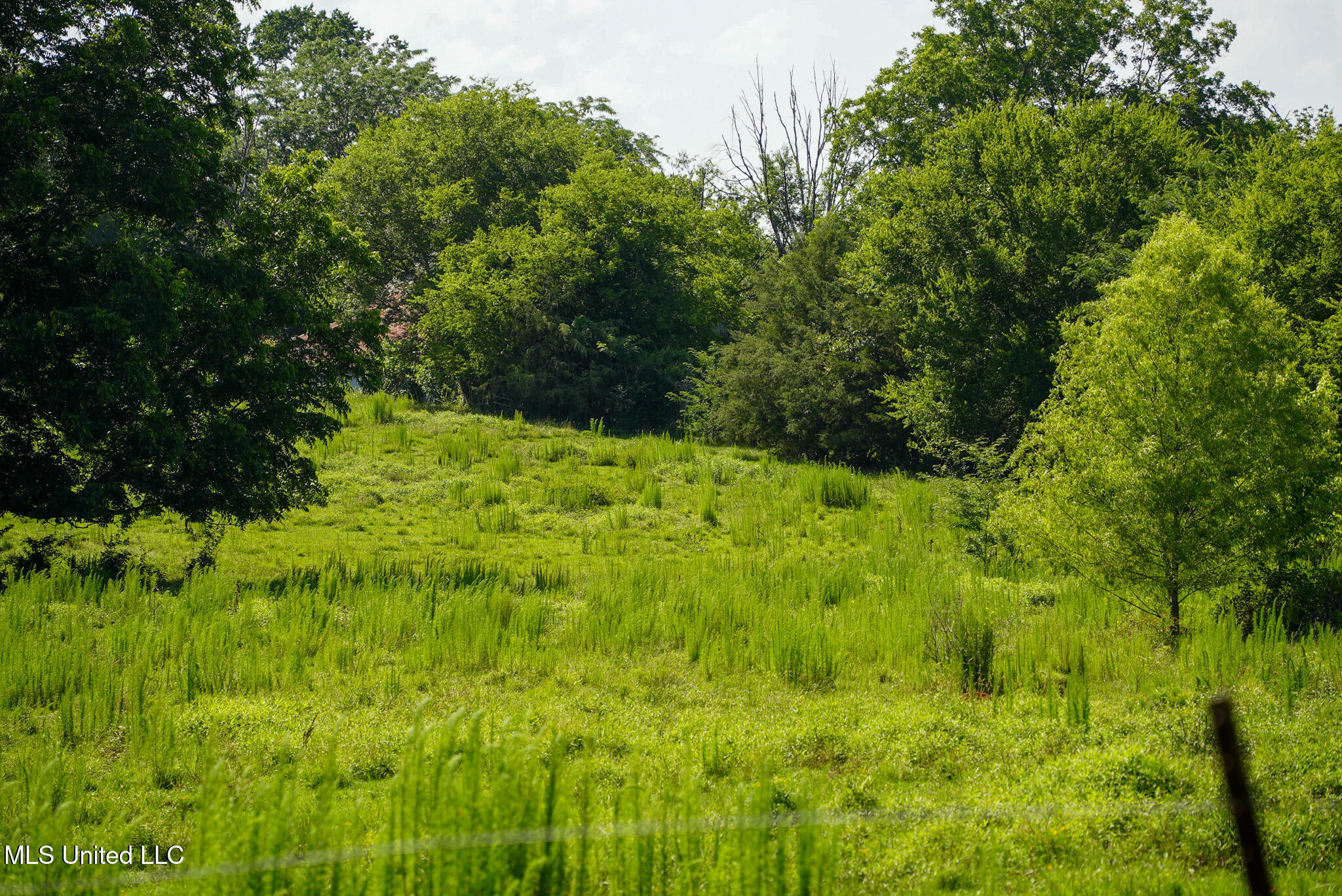 3084 Tom Collins Road Property Photo 32