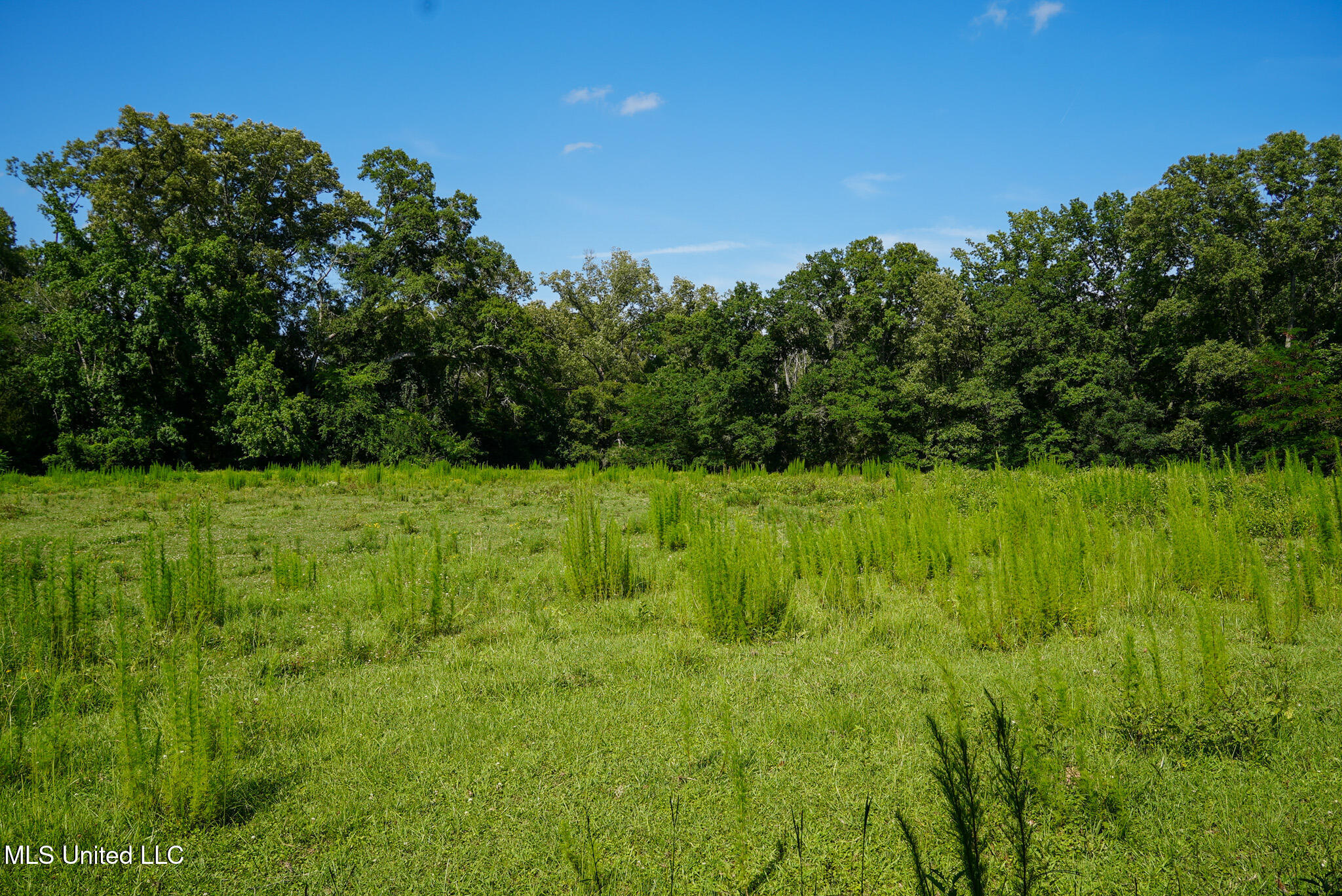 3084 Tom Collins Road Property Photo 34