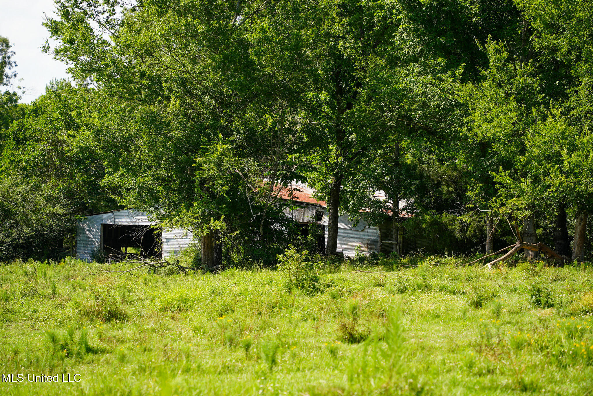 3084 Tom Collins Road Property Photo 36