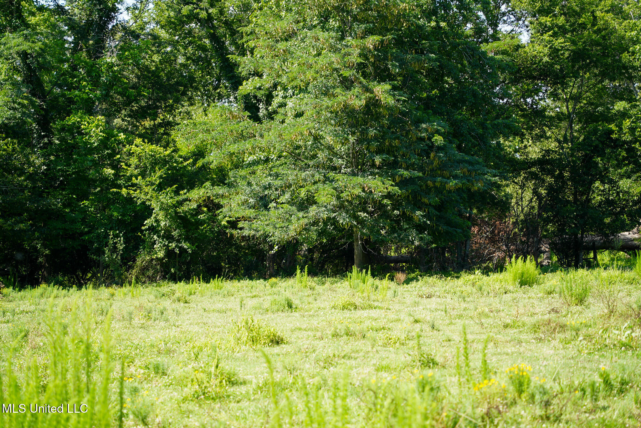 3084 Tom Collins Road Property Photo 37