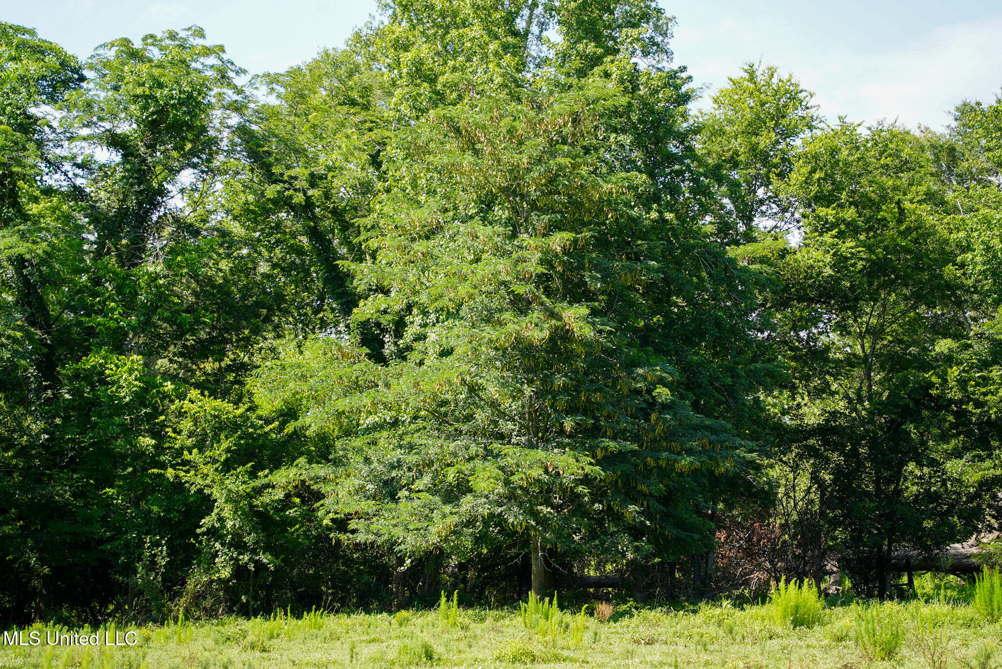 3084 Tom Collins Road Property Photo 38